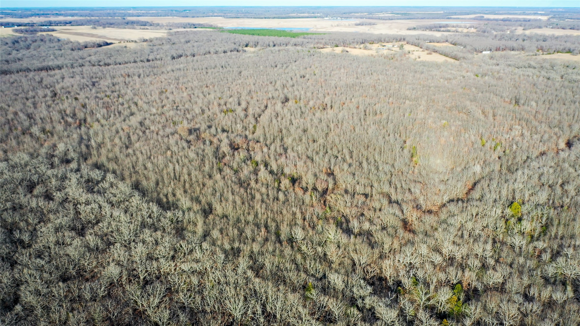 1200 County Road 1255 Detroit TX 75436