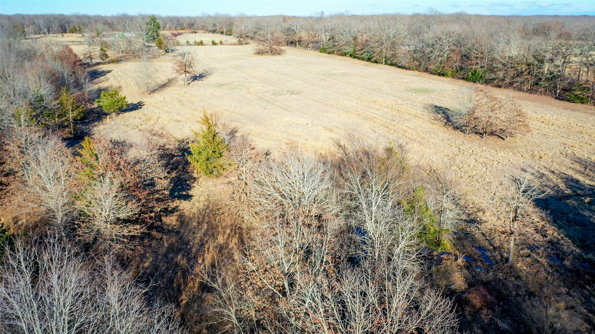 1200 County Road 1255 Detroit TX 75436