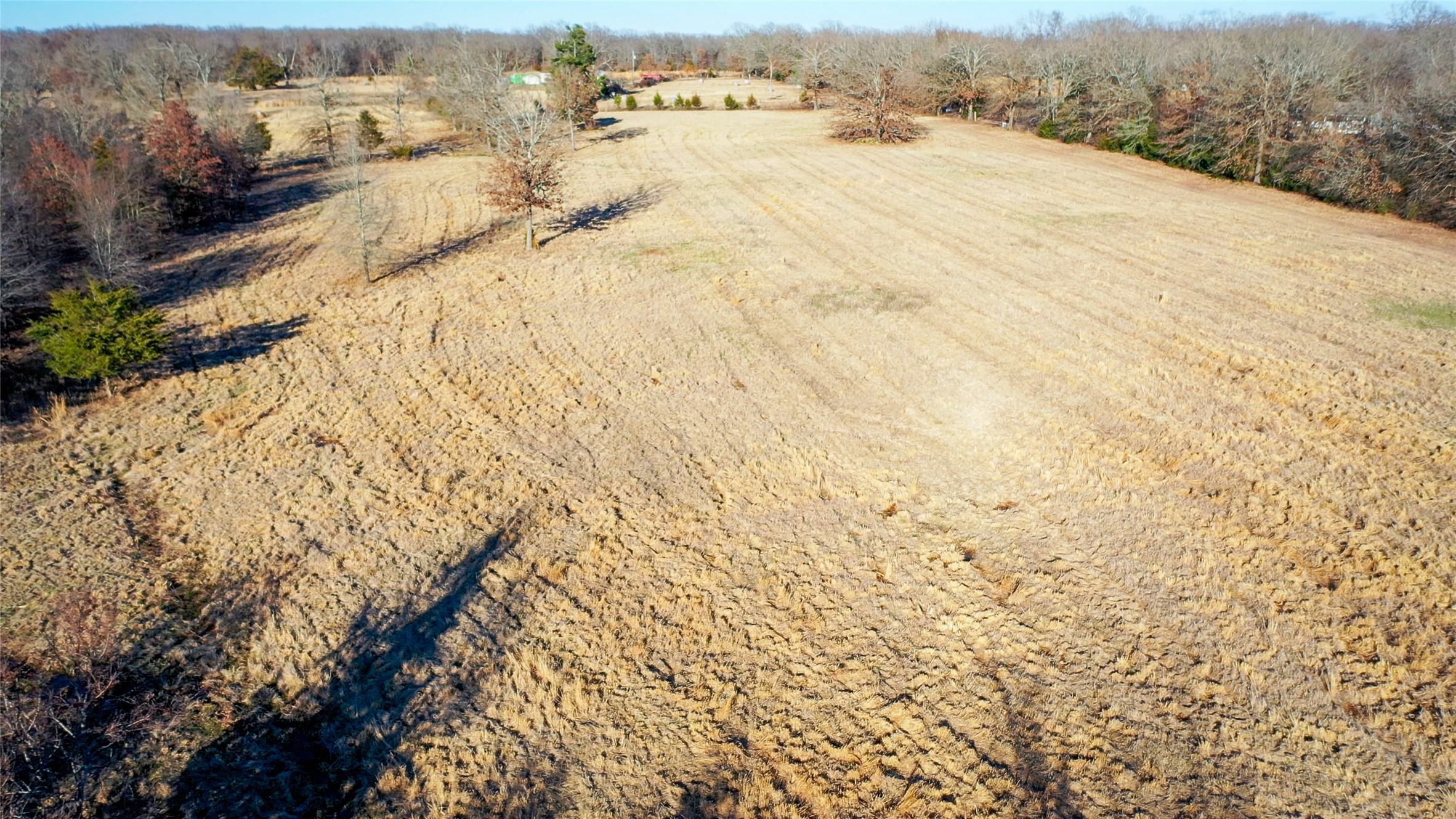 1200 County Road 1255 Detroit TX 75436