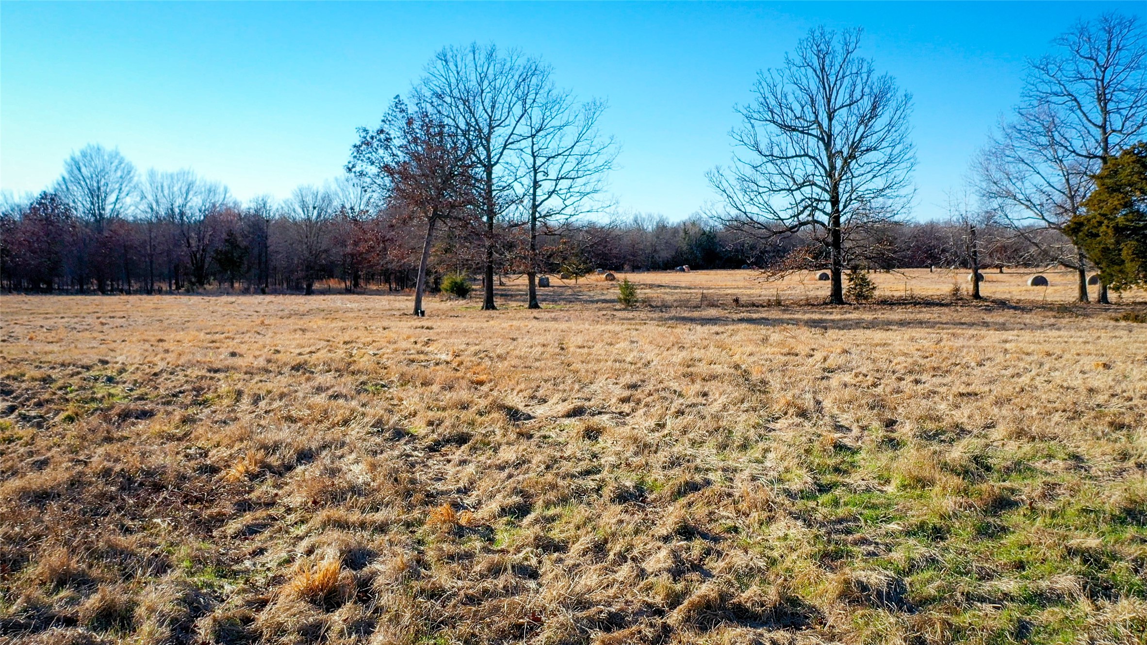 1200 County Road 1255 Detroit TX 75436