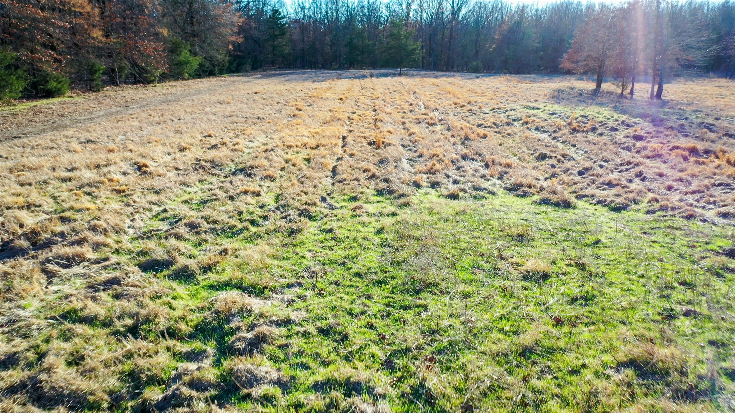 1200 County Road 1255 Detroit TX 75436