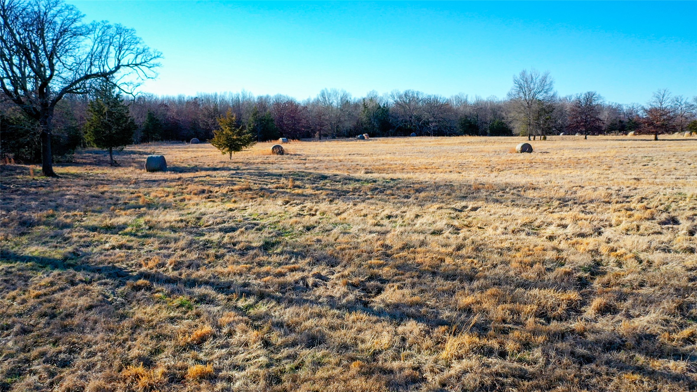 1200 County Road 1255 Detroit TX 75436