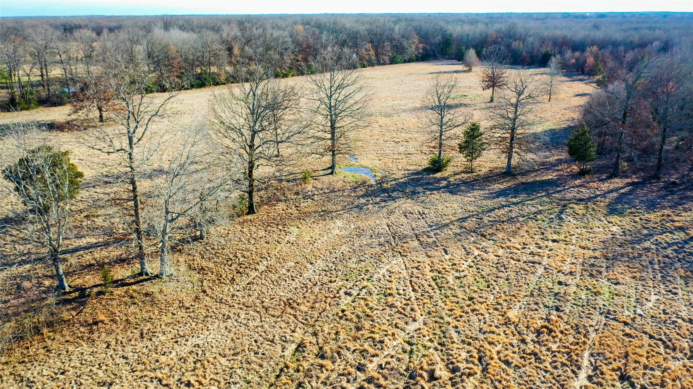 1200 County Road 1255 Detroit TX 75436