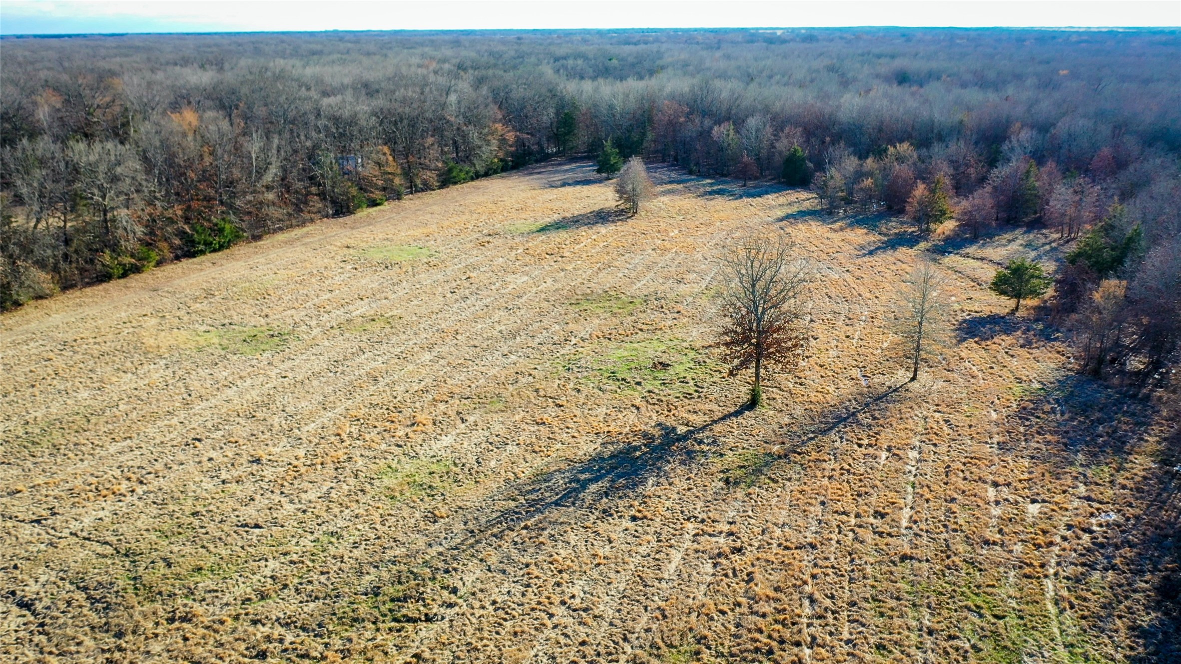 1200 County Road 1255 Detroit TX 75436