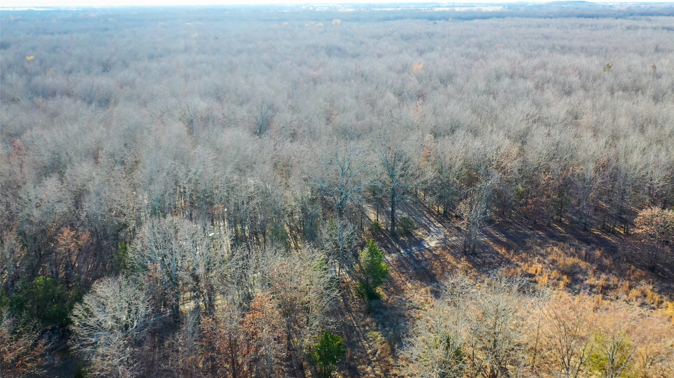 1200 County Road 1255 Detroit TX 75436