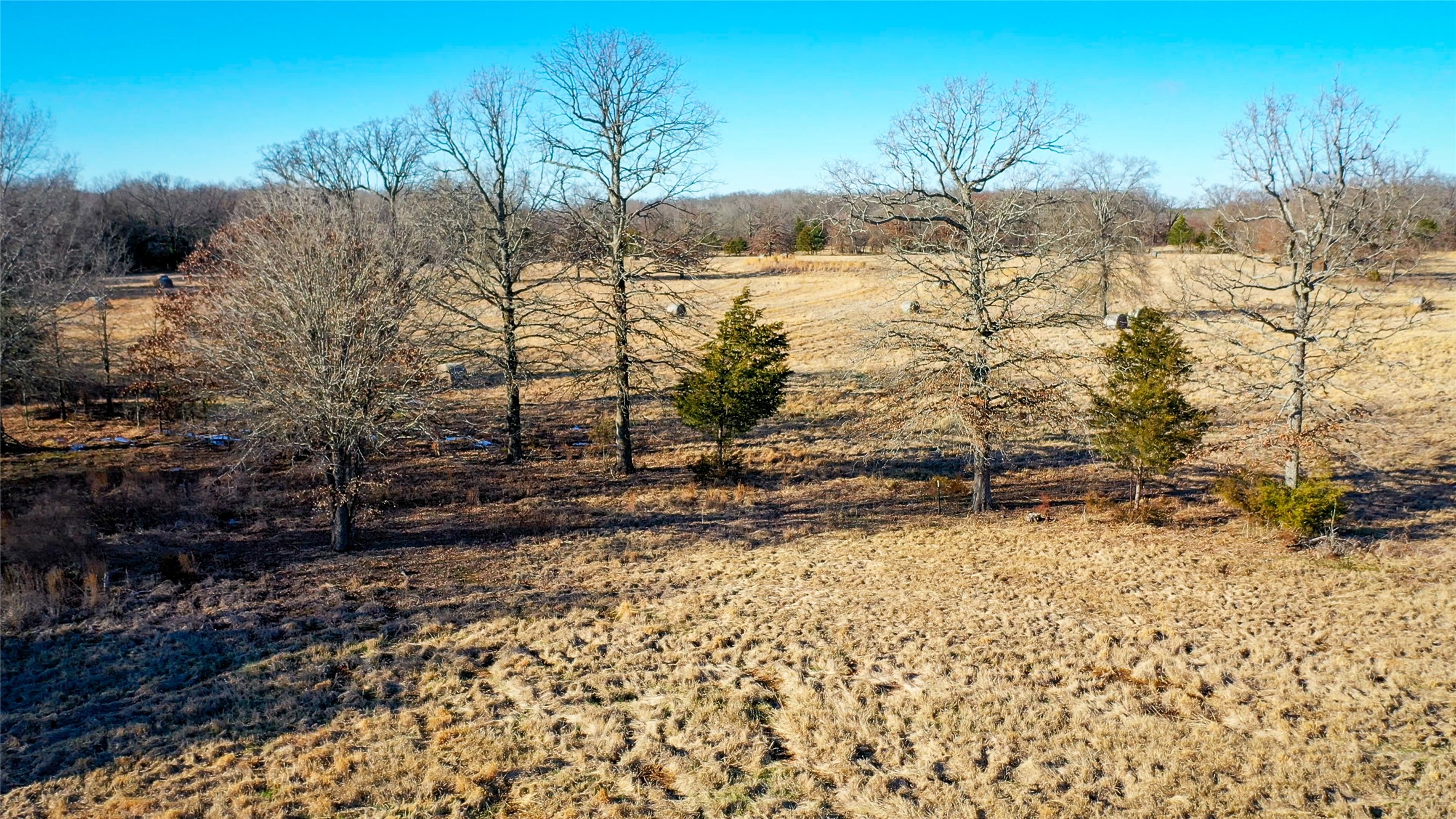 1200 County Road 1255 Detroit TX 75436