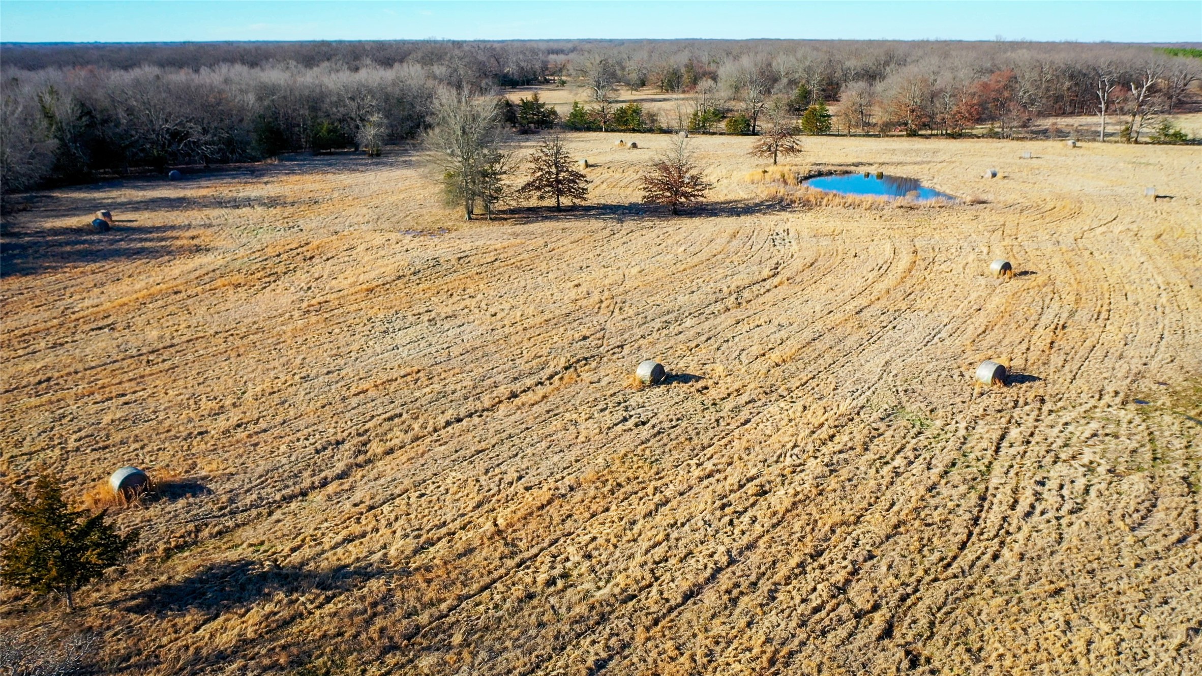 1200 County Road 1255 Detroit TX 75436