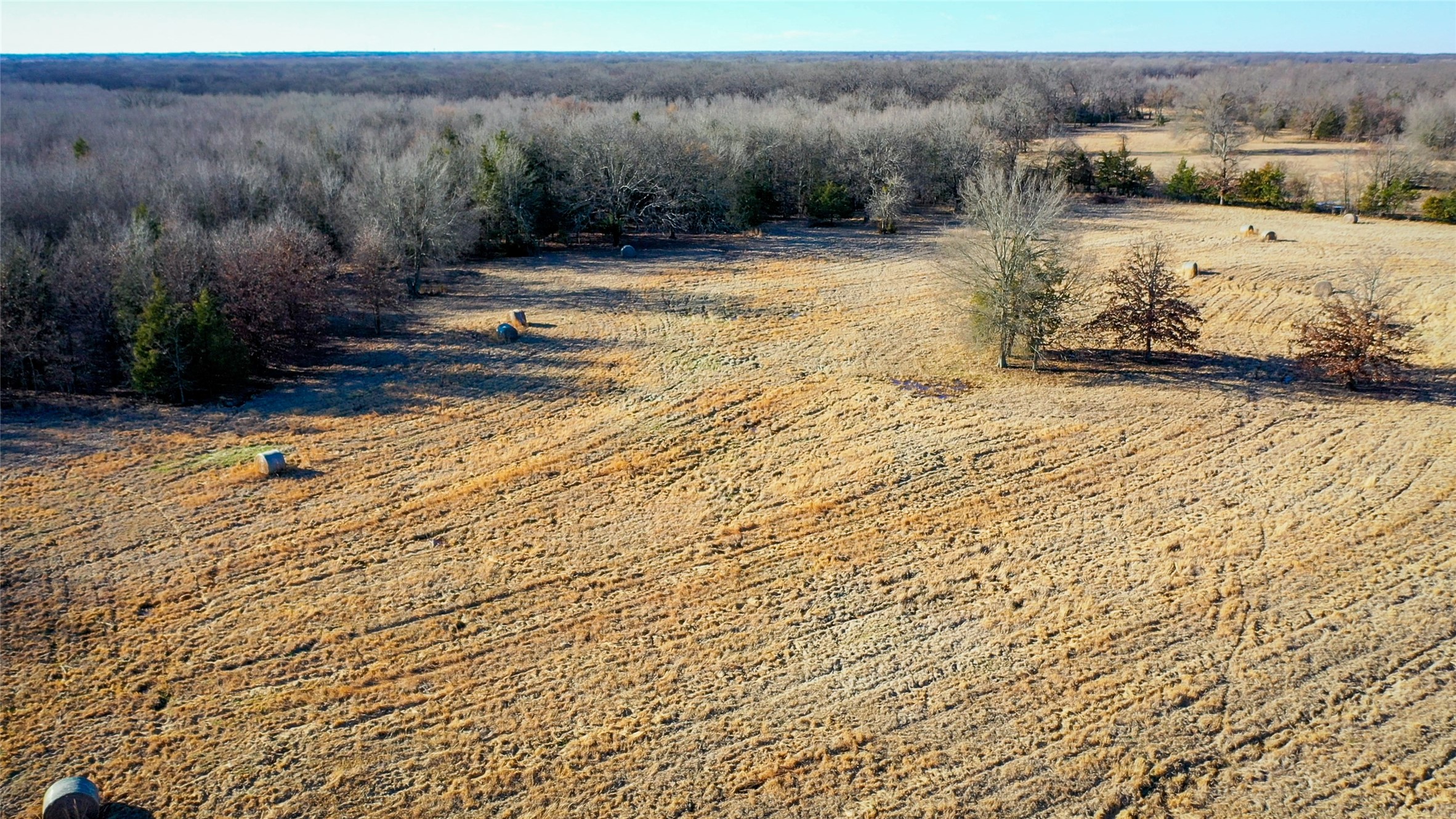 1200 County Road 1255 Detroit TX 75436