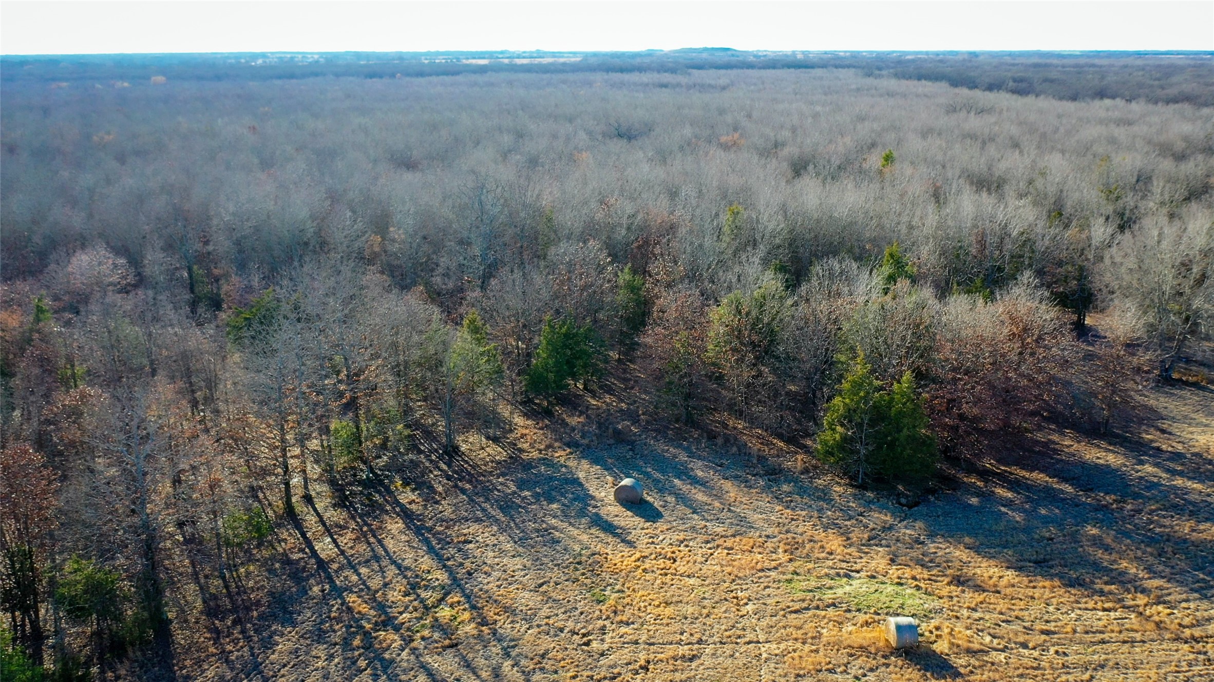1200 County Road 1255 Detroit TX 75436