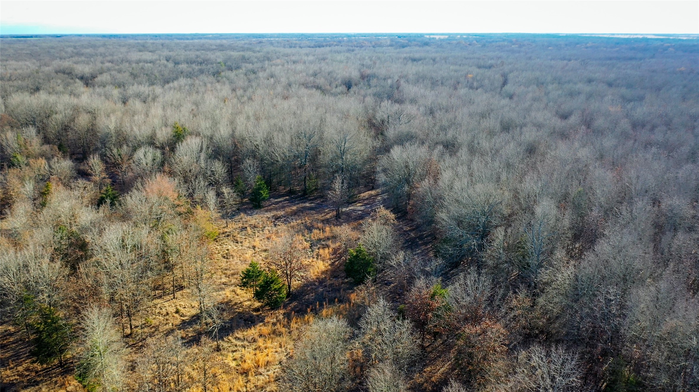 1200 County Road 1255 Detroit TX 75436