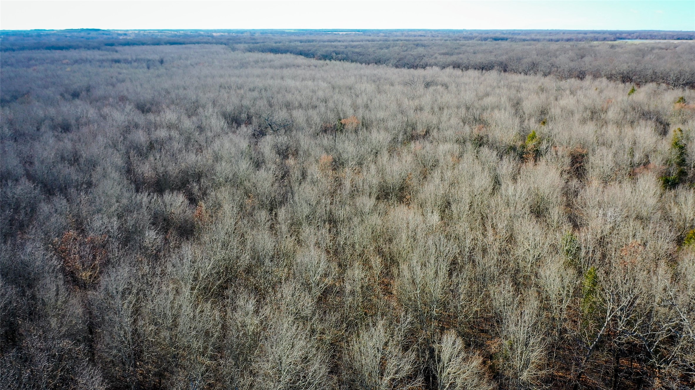1200 County Road 1255 Detroit TX 75436