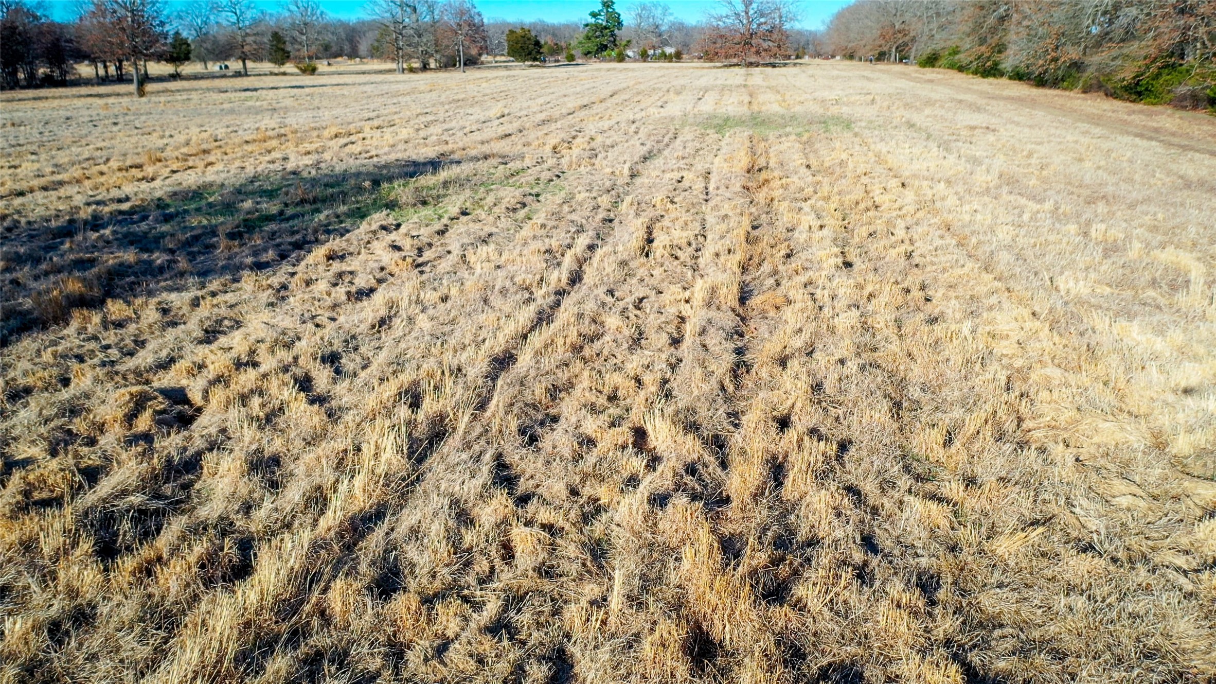 1200 County Road 1255 Detroit TX 75436