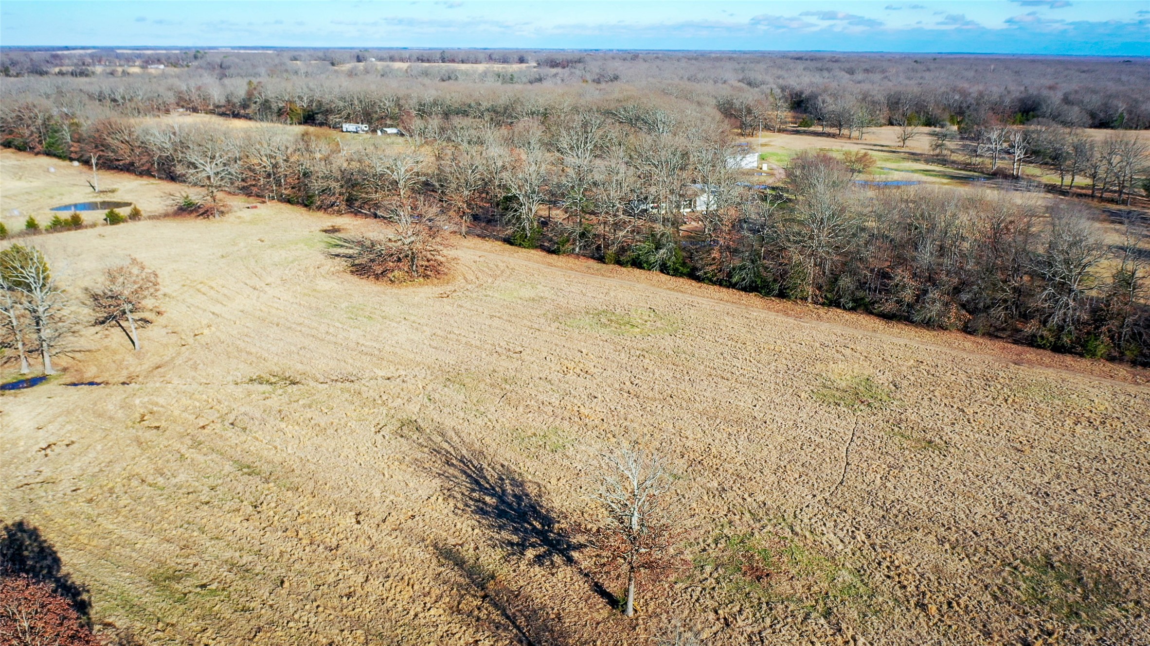1200 County Road 1255 Detroit TX 75436