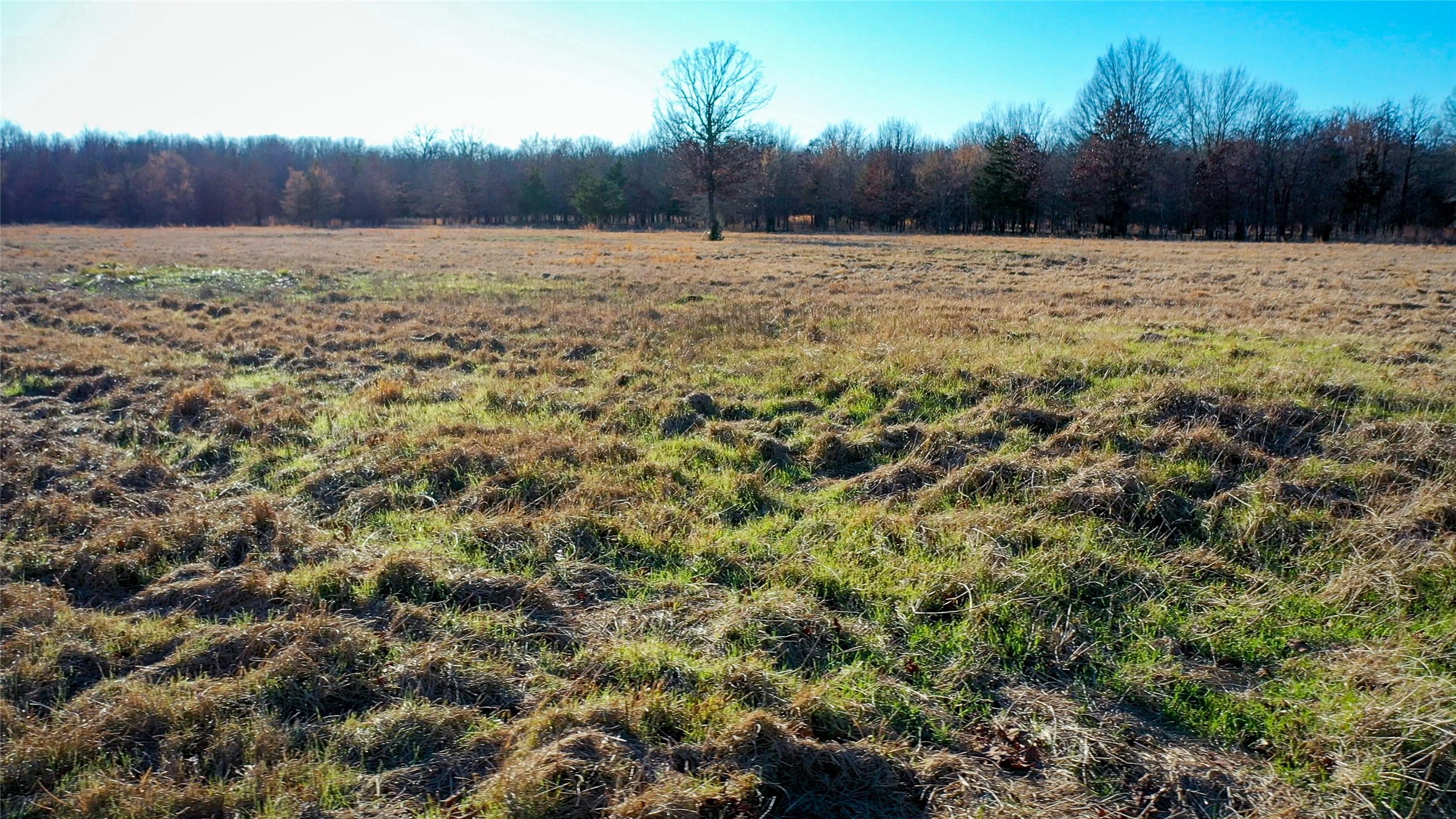 1200 County Road 1255 Detroit TX 75436
