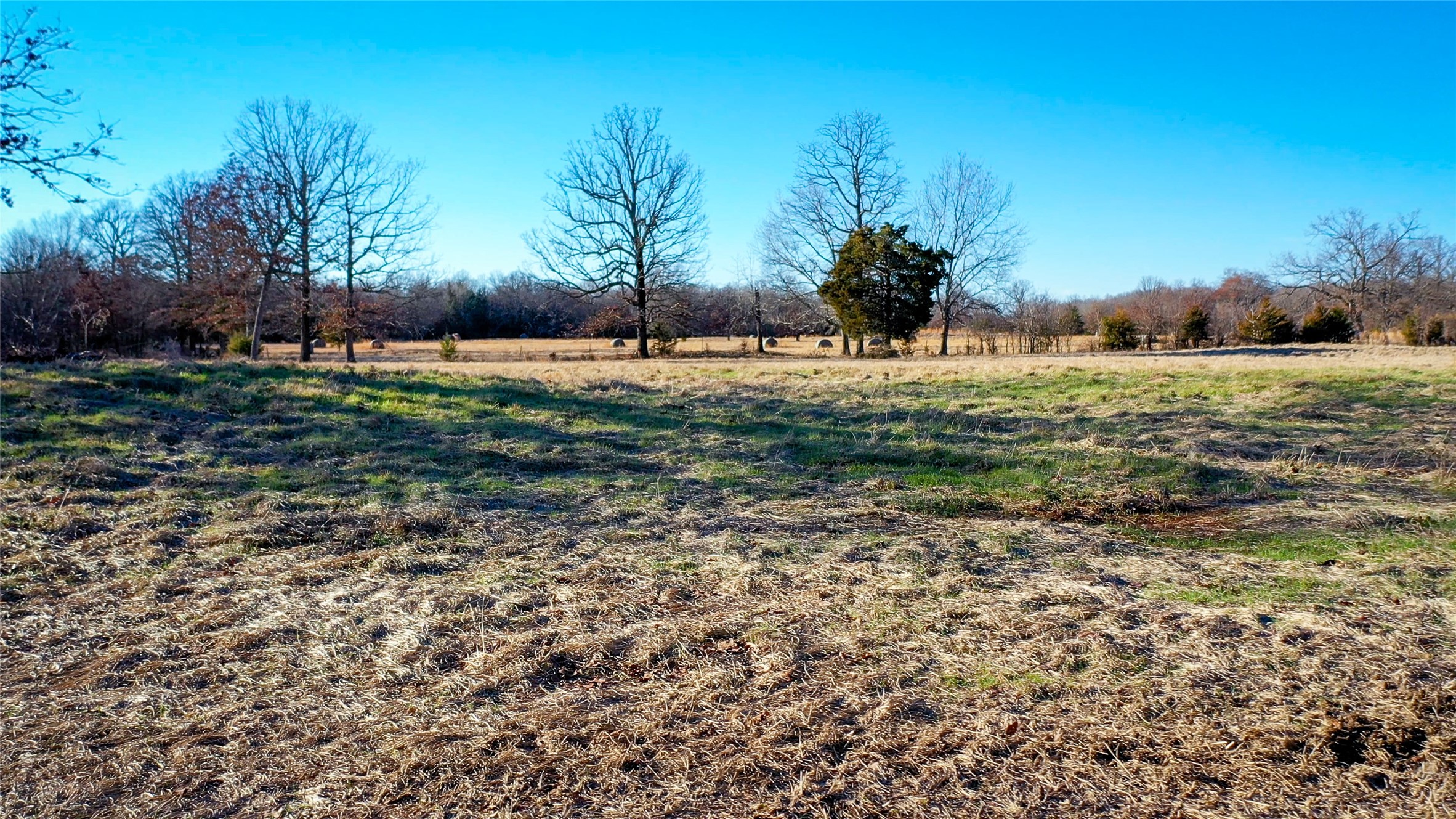 1200 County Road 1255 Detroit TX 75436
