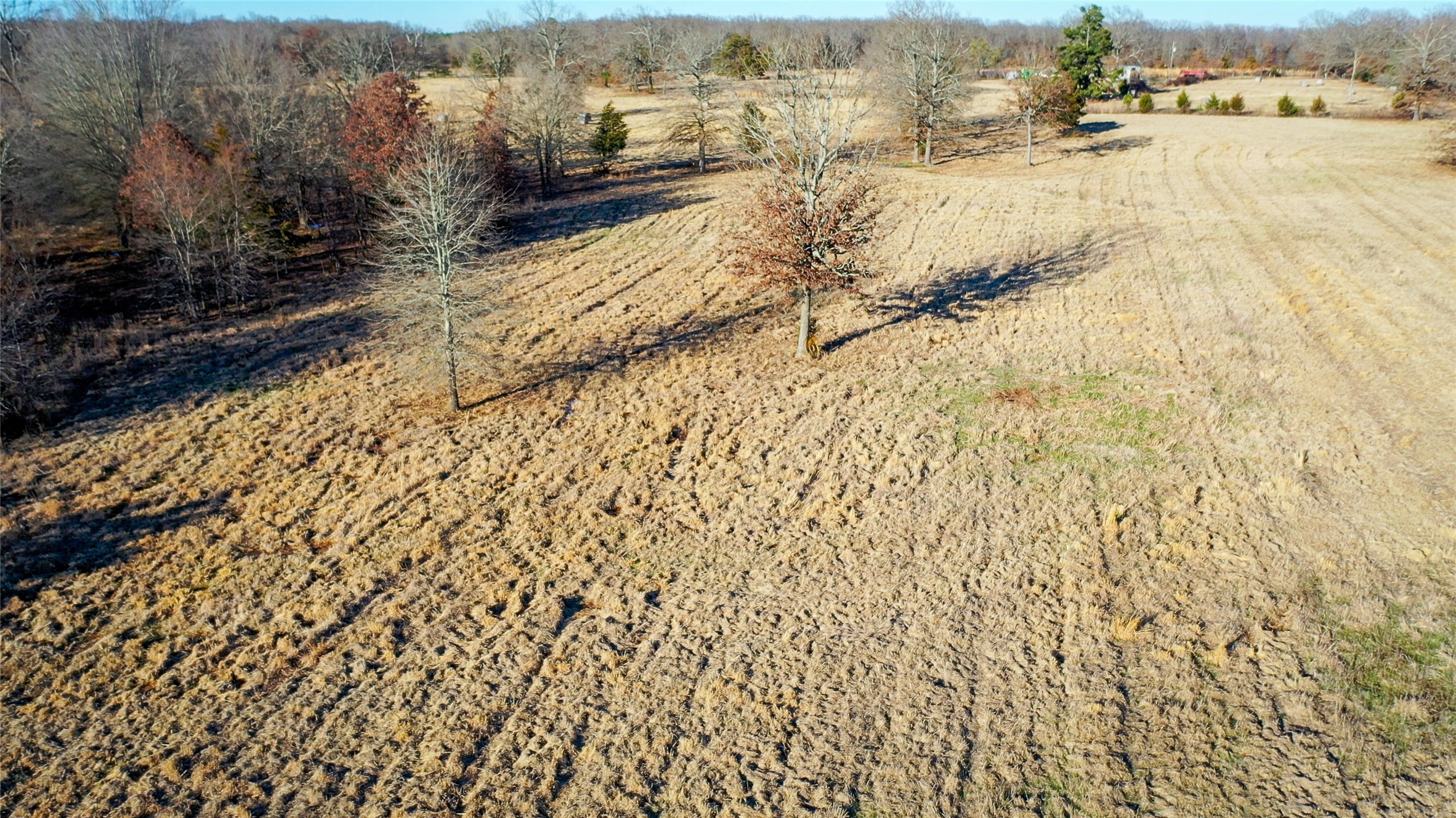 1200 County Road 1255 Detroit TX 75436