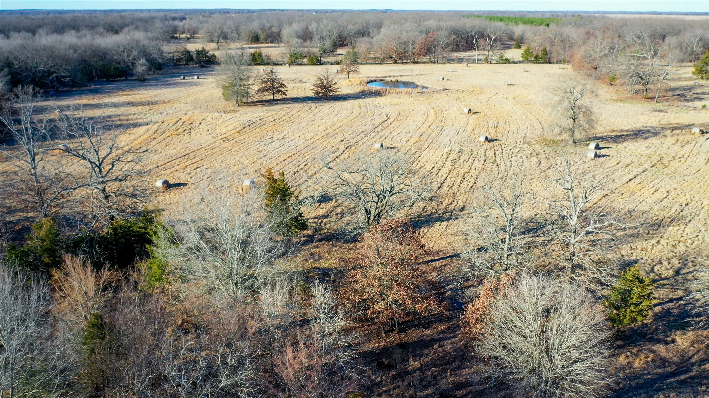 1200 County Road 1255 Detroit TX 75436