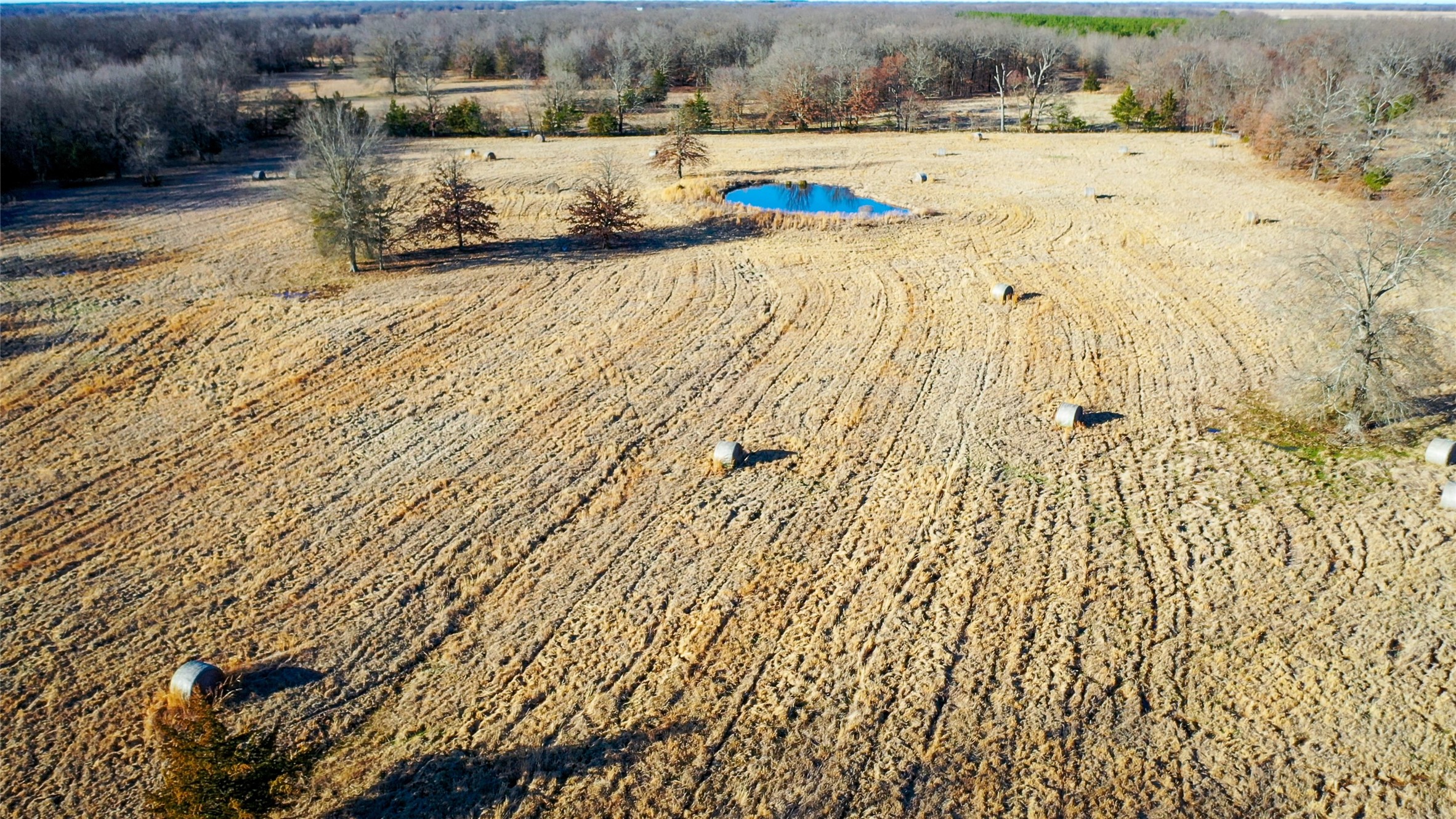 1200 County Road 1255 Detroit TX 75436