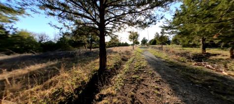11193 Cr-496 Princeton TX 75407