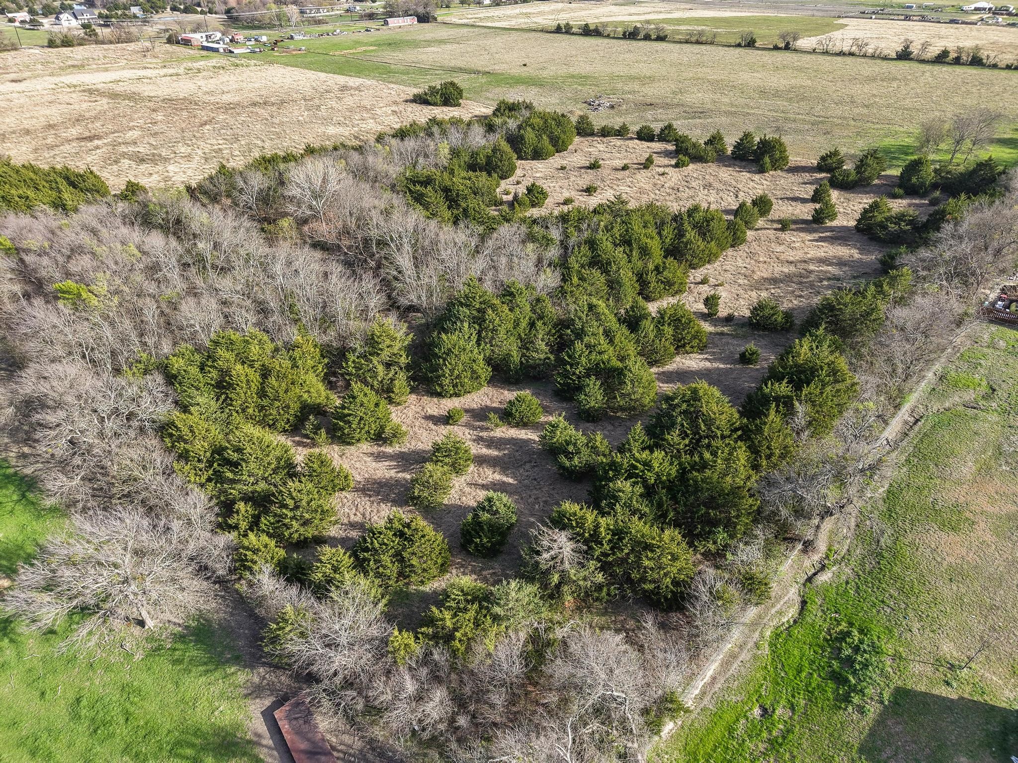 9421 County Road 626 Blue Ridge TX 75424