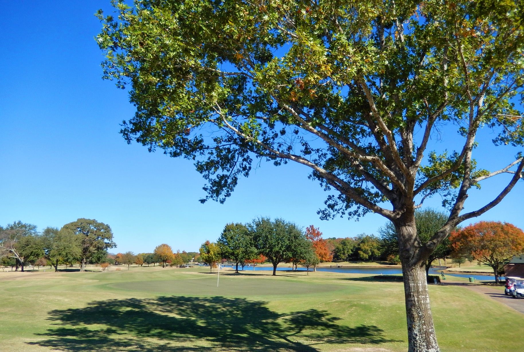 109 Key Allegro Drive Bullard TX 75757