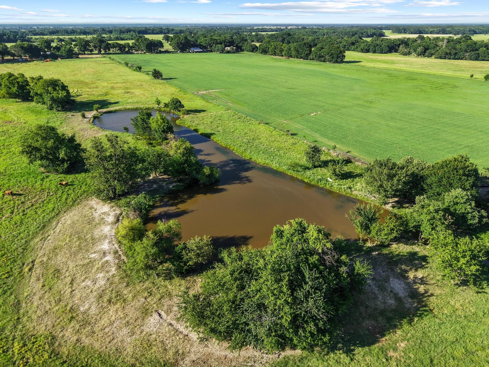 Tbd County Road 2131 Telephone TX 75488