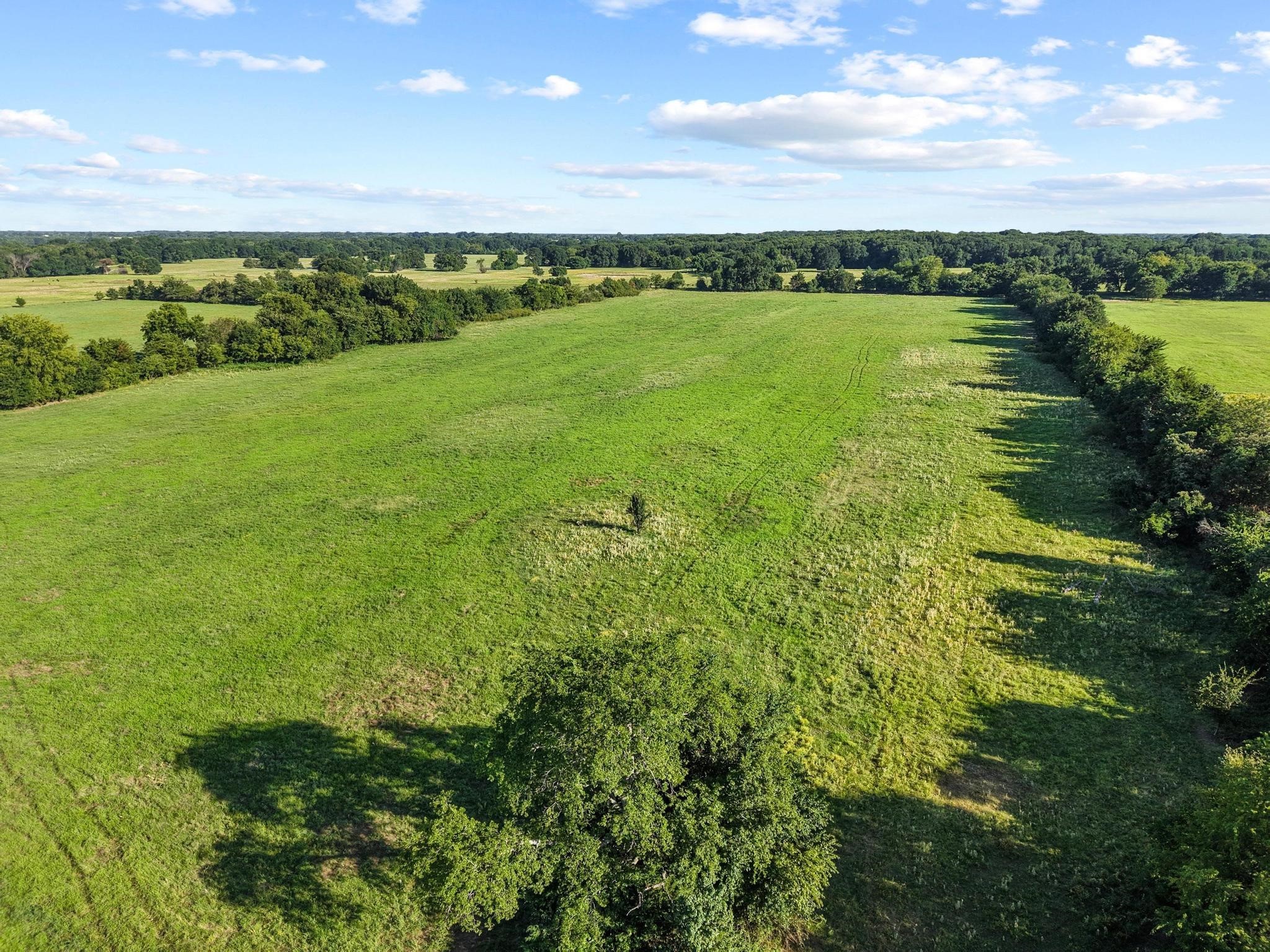 Tbd County Road 2131 Telephone TX 75488