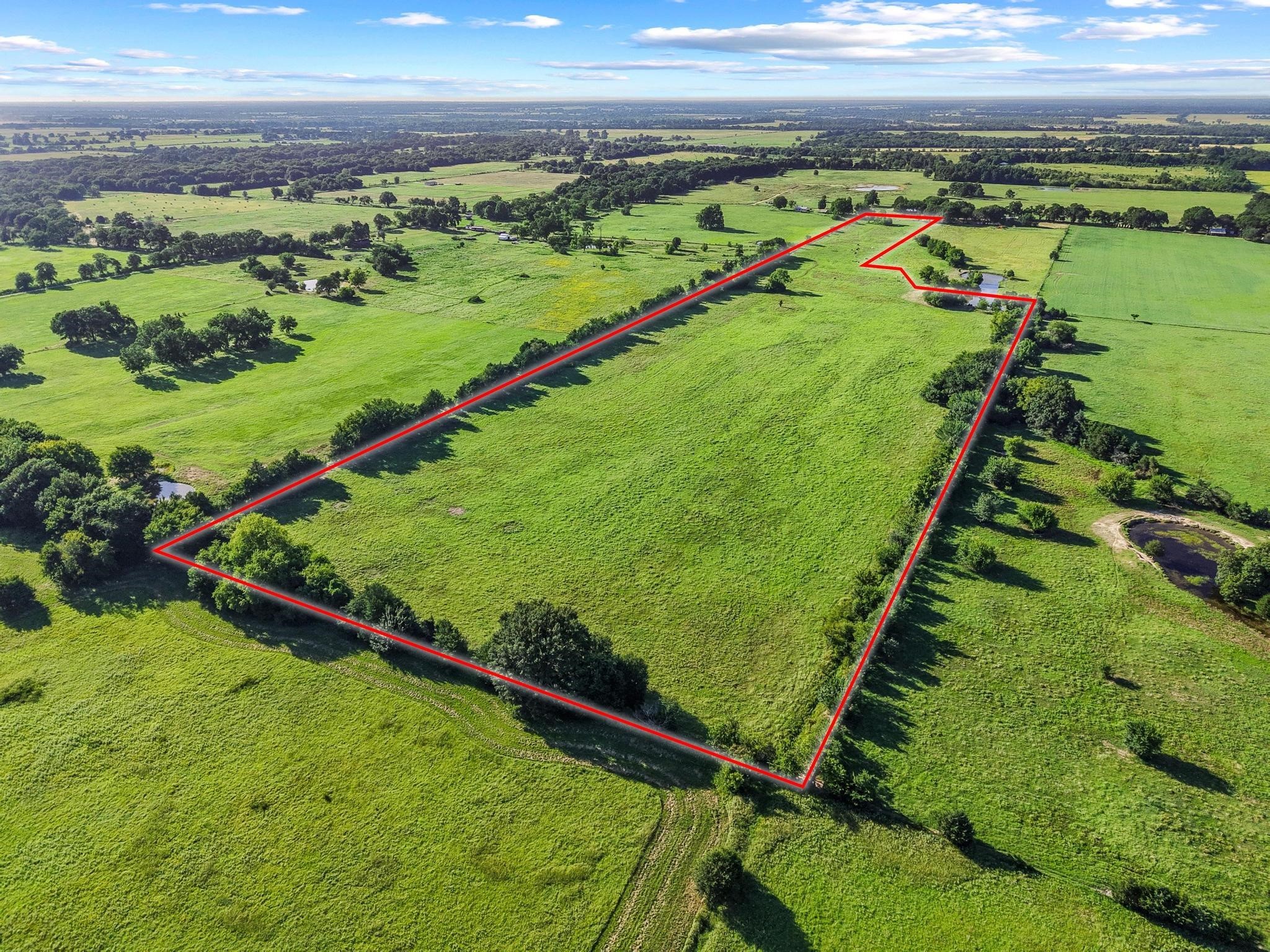 Tbd County Road 2131 Telephone TX 75488