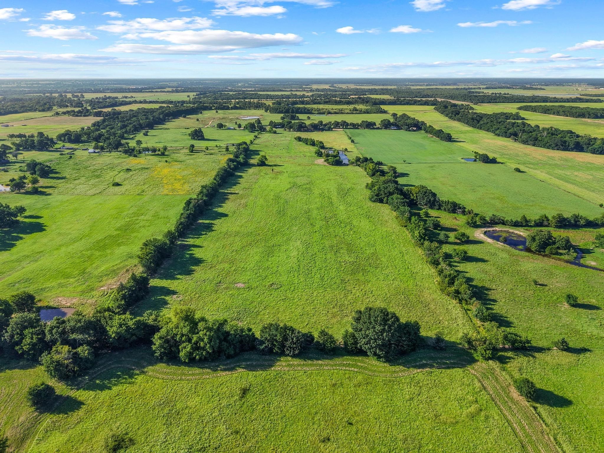 Tbd County Road 2131 Telephone TX 75488