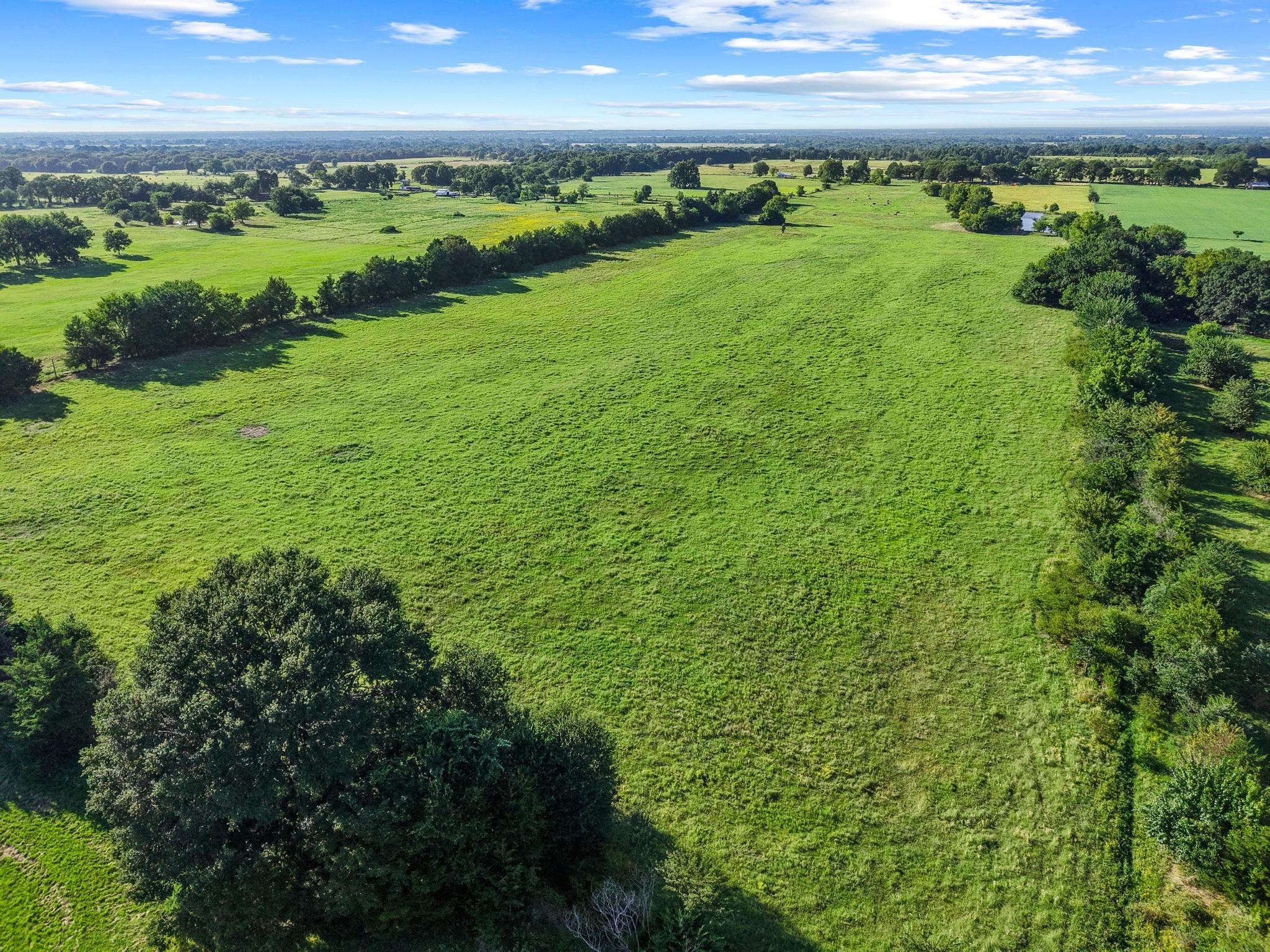 Tbd County Road 2131 Telephone TX 75488