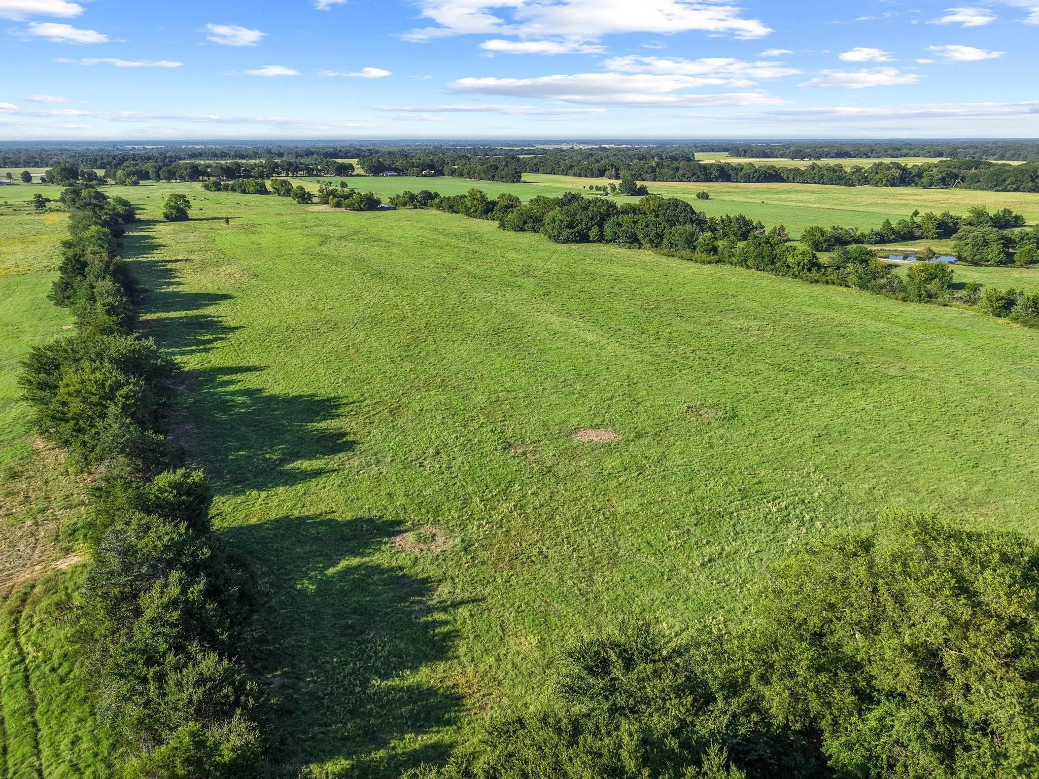 Tbd County Road 2131 Telephone TX 75488