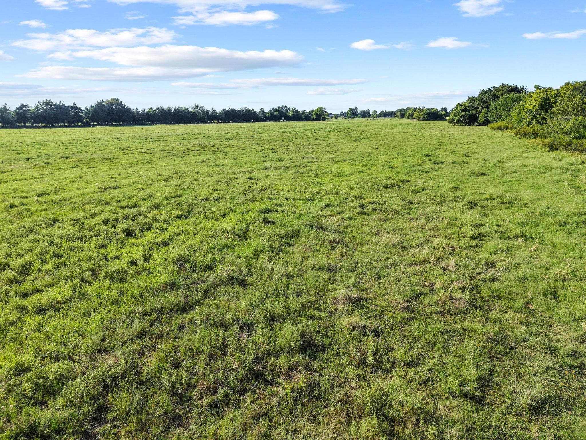 Tbd County Road 2131 Telephone TX 75488