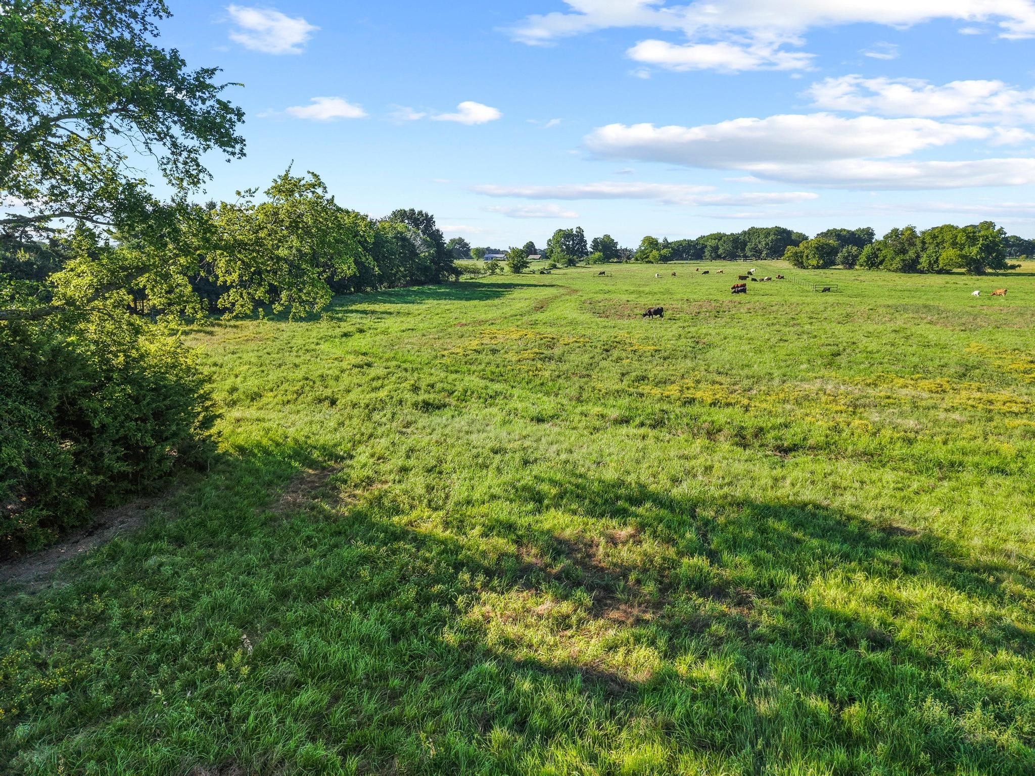 Tbd County Road 2131 Telephone TX 75488