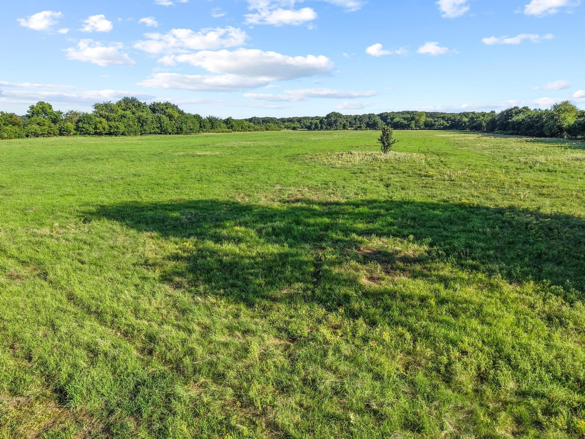 Tbd County Road 2131 Telephone TX 75488