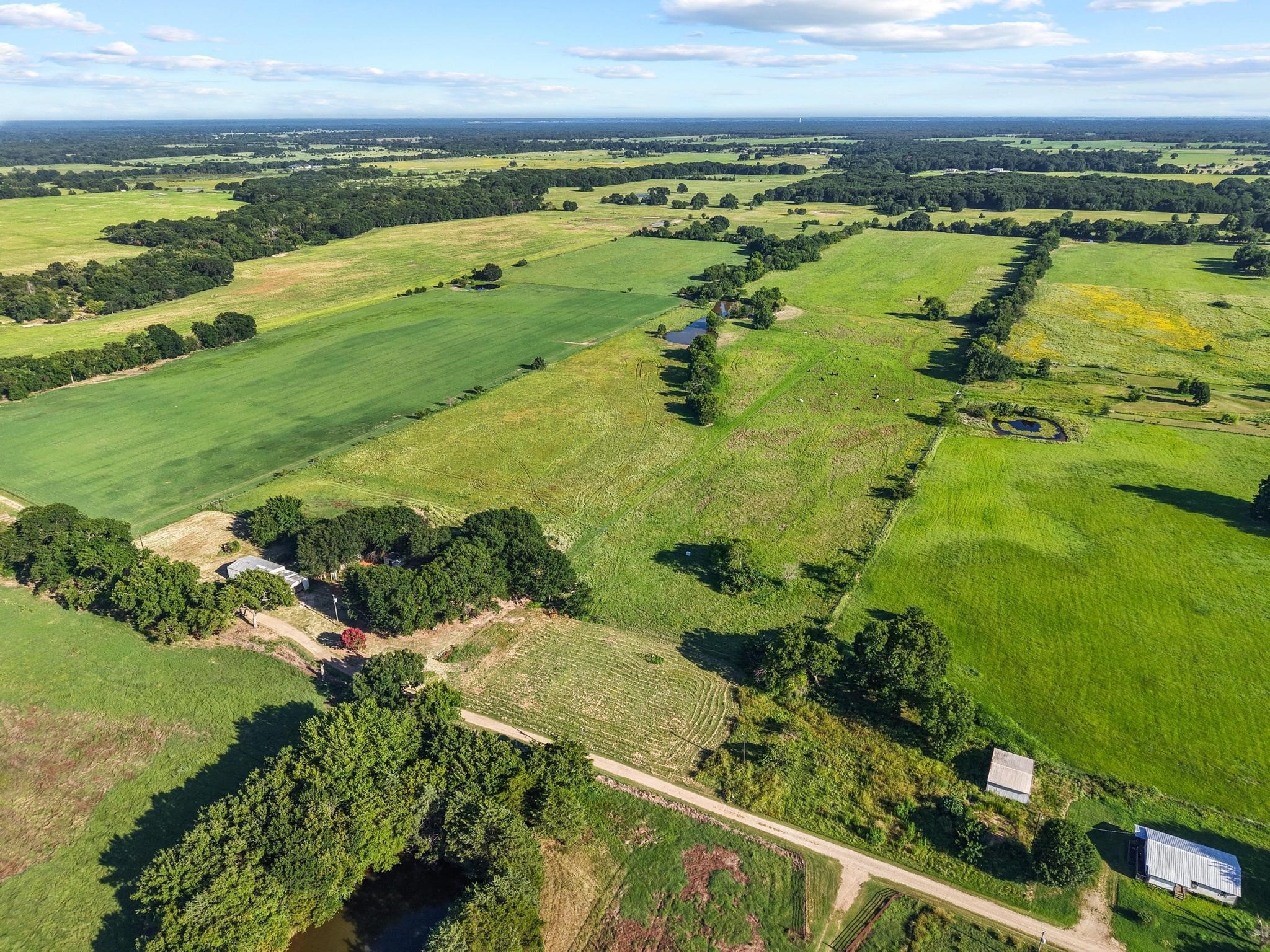 Tbd County Road 2131 Telephone TX 75488