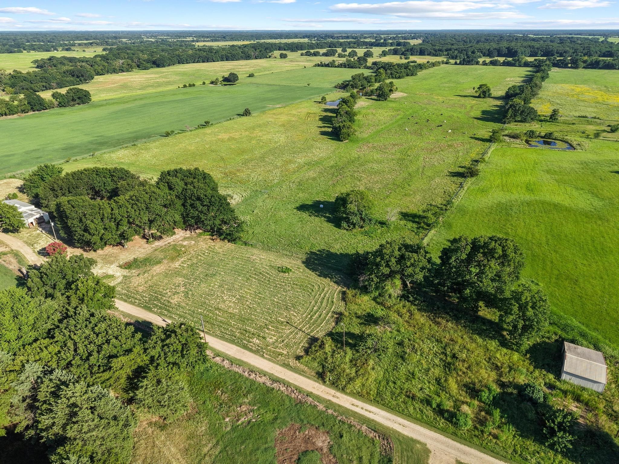 Tbd County Road 2131 Telephone TX 75488