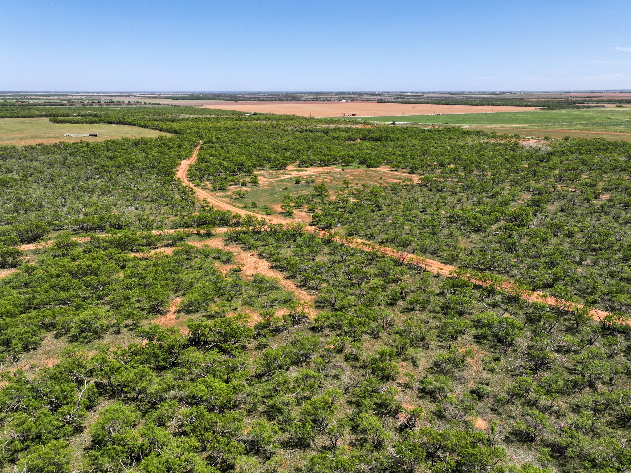 Tbd Tract 6 Fm 3116 Hawley TX 79525