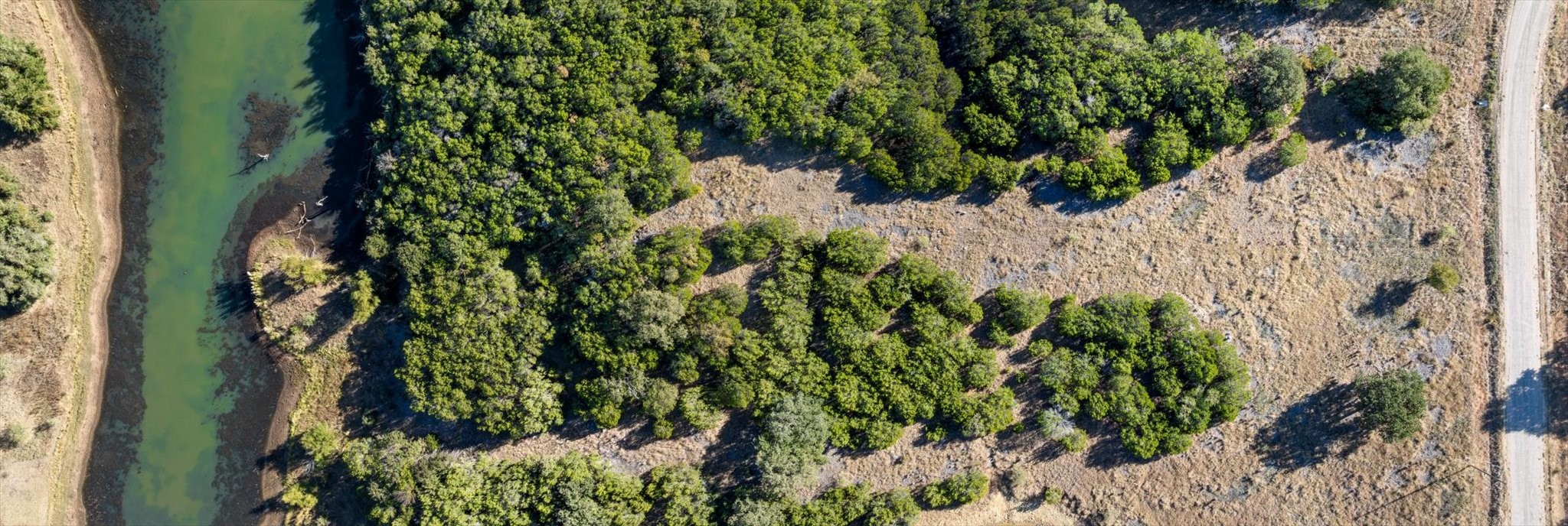 190 New Hope Lane Palo Pinto TX 76484