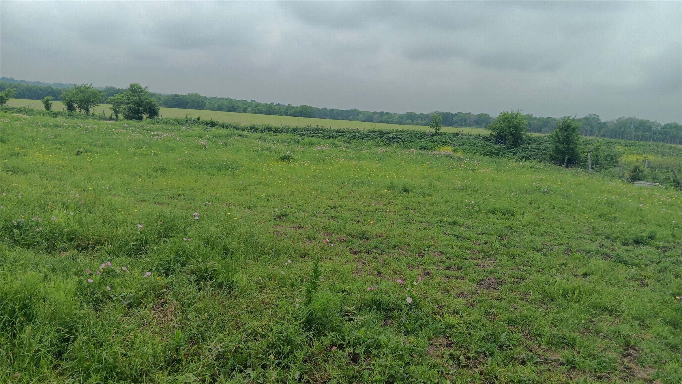 Tbd Cr494n Chilton TX 76632