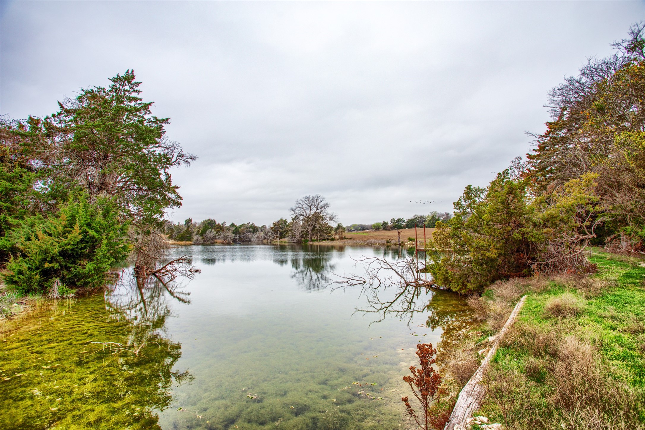 1414 S Bluegrove Road Lancaster TX 75146