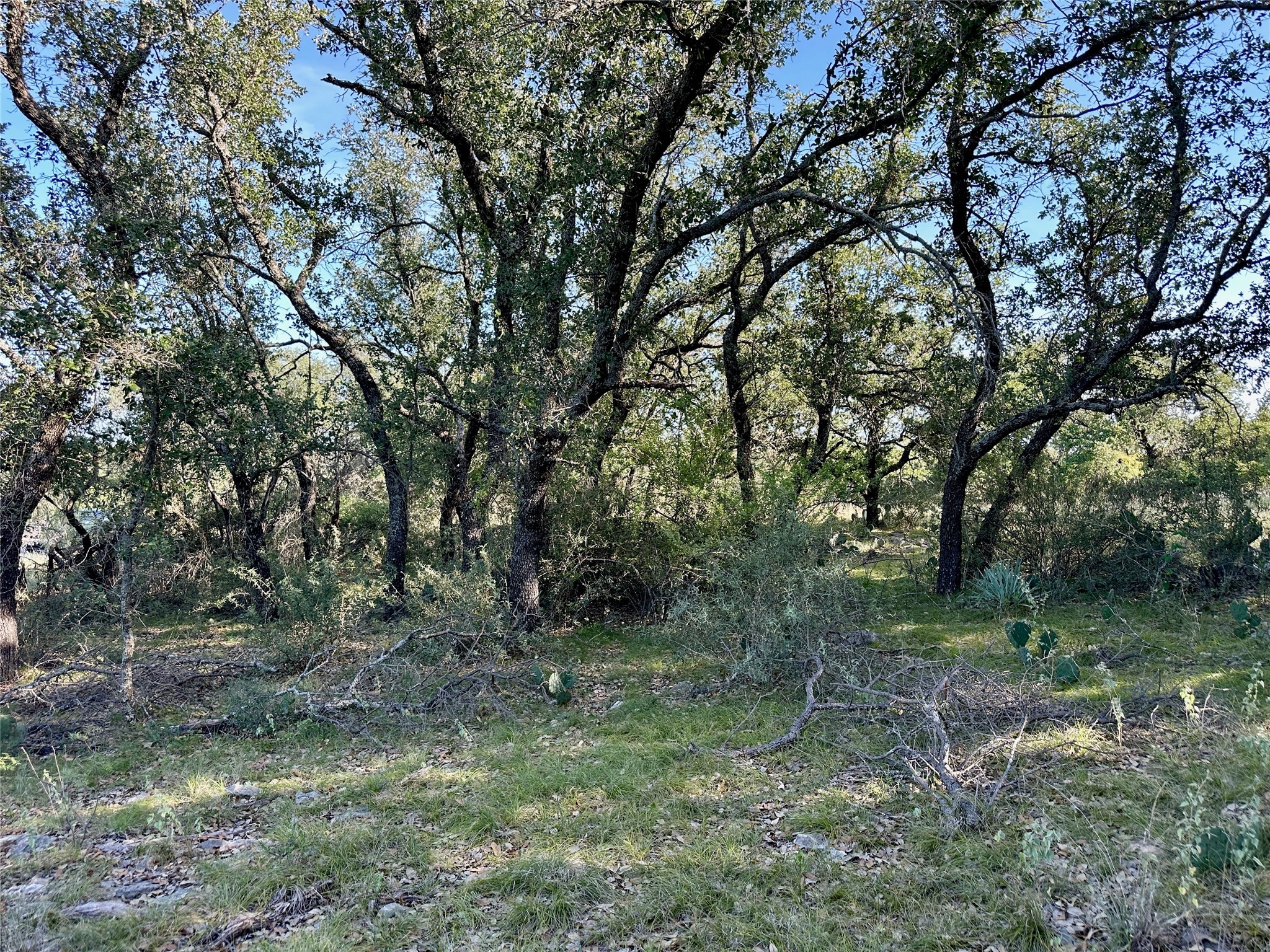 825 Sextant Circle Brownwood TX 76801