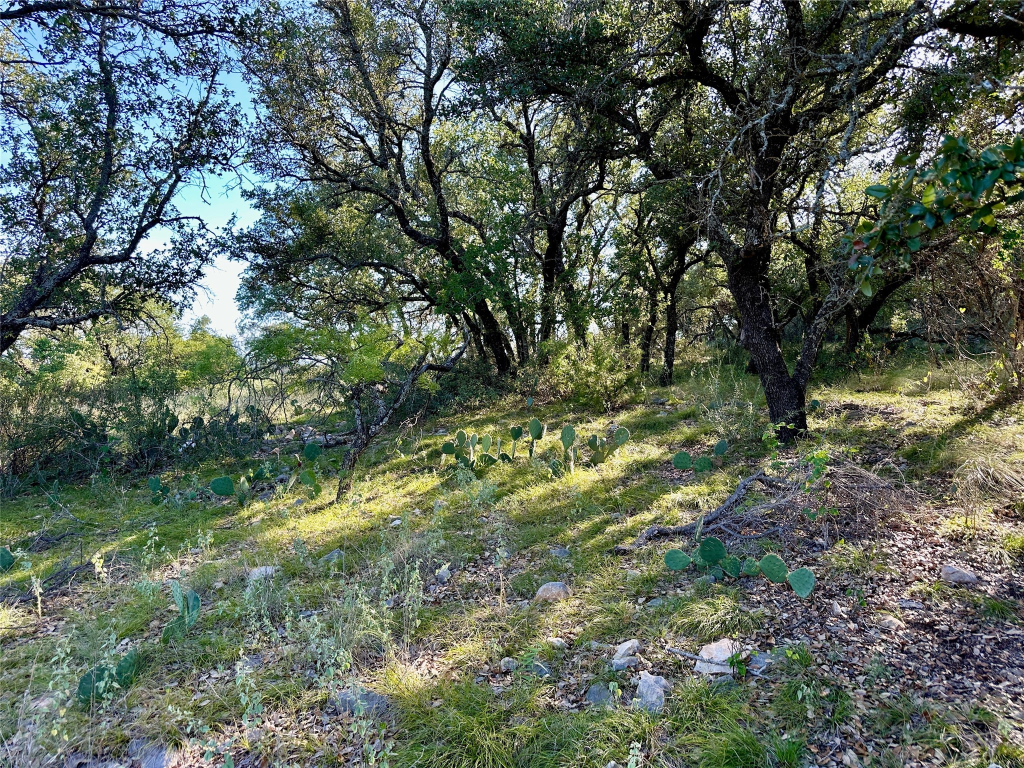 825 Sextant Circle Brownwood TX 76801
