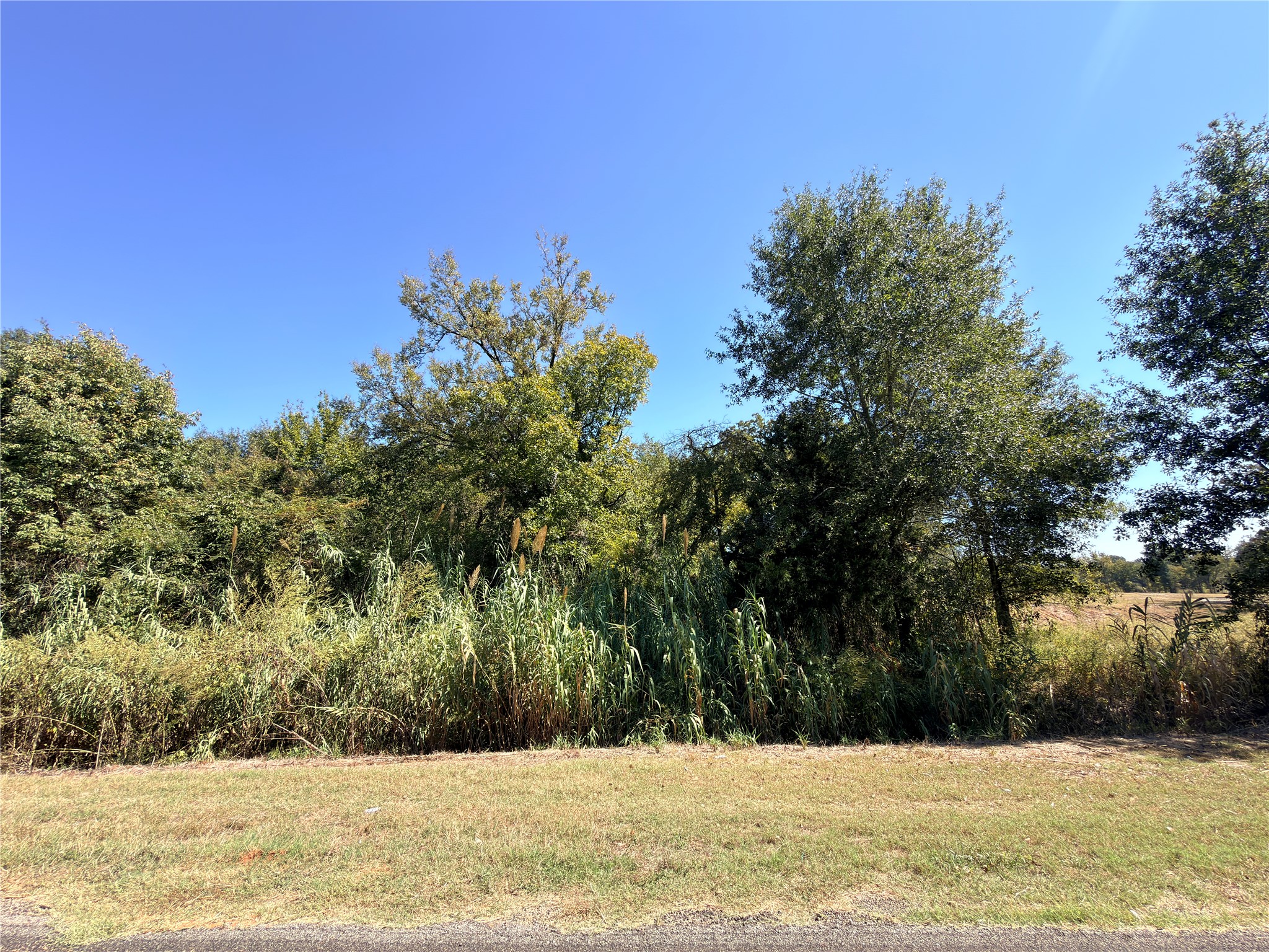 7.5 Acres S State Highway 75 Fairfield TX 75840