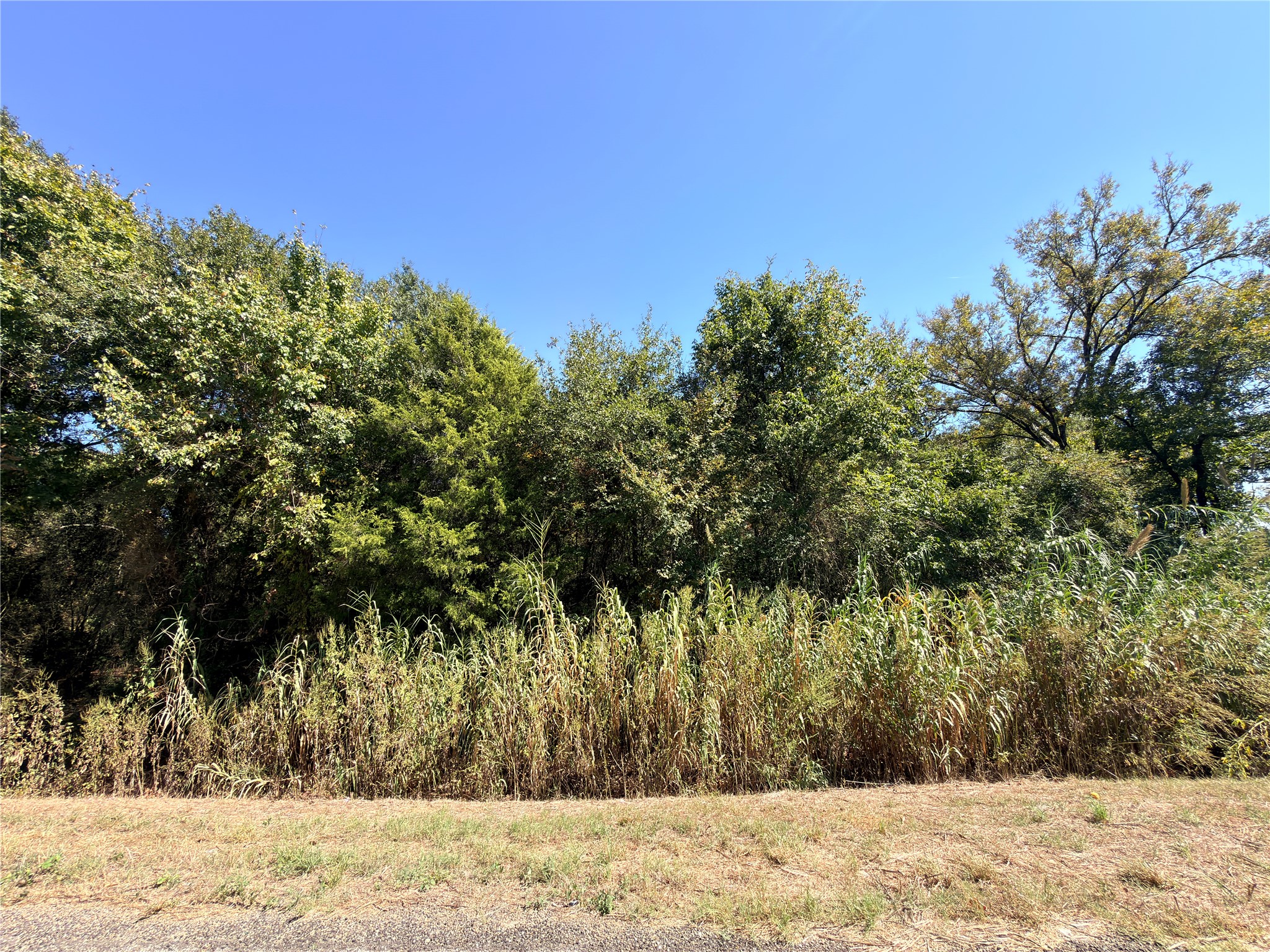 7.5 Acres S State Highway 75 Fairfield TX 75840