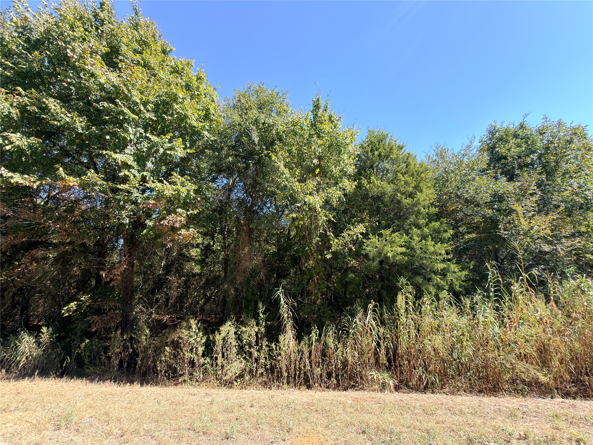 7.5 Acres S State Highway 75 Fairfield TX 75840