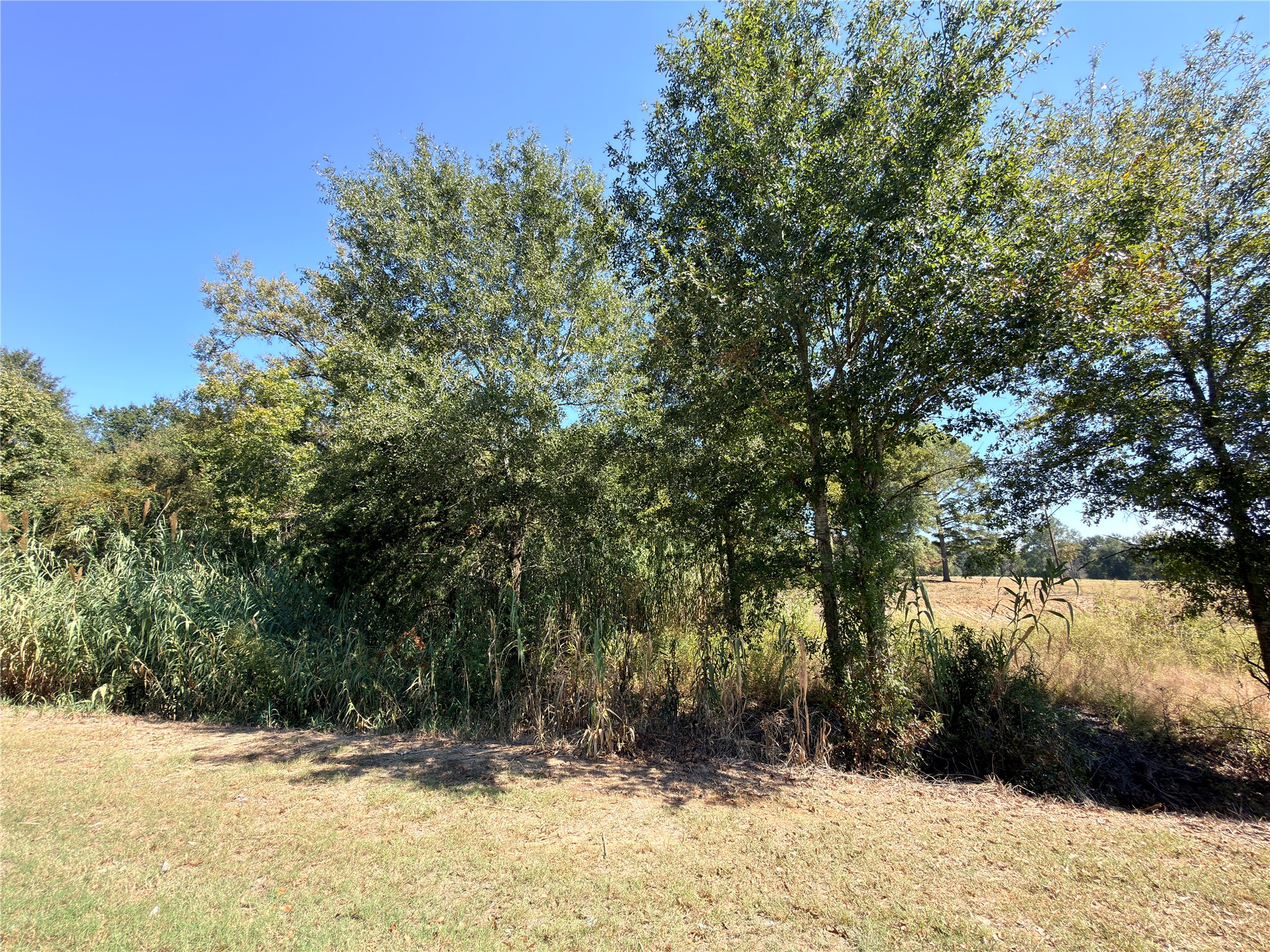 7.5 Acres S State Highway 75 Fairfield TX 75840