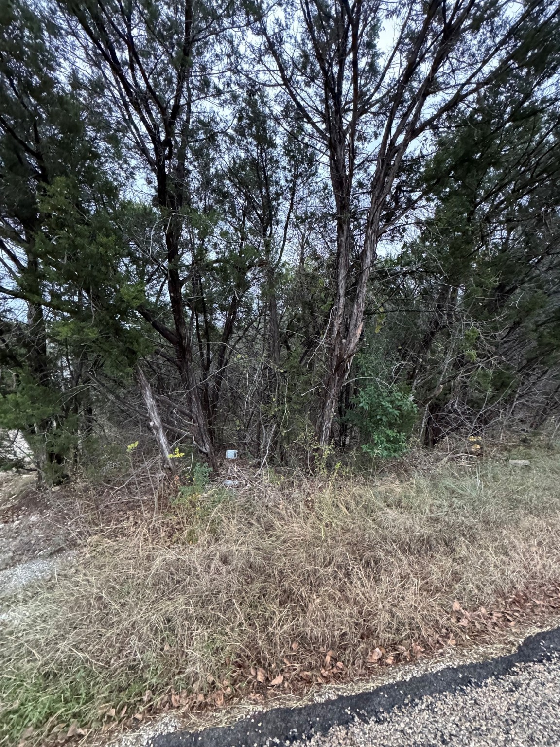 1013 Comanche Cove Drive Granbury TX 76048