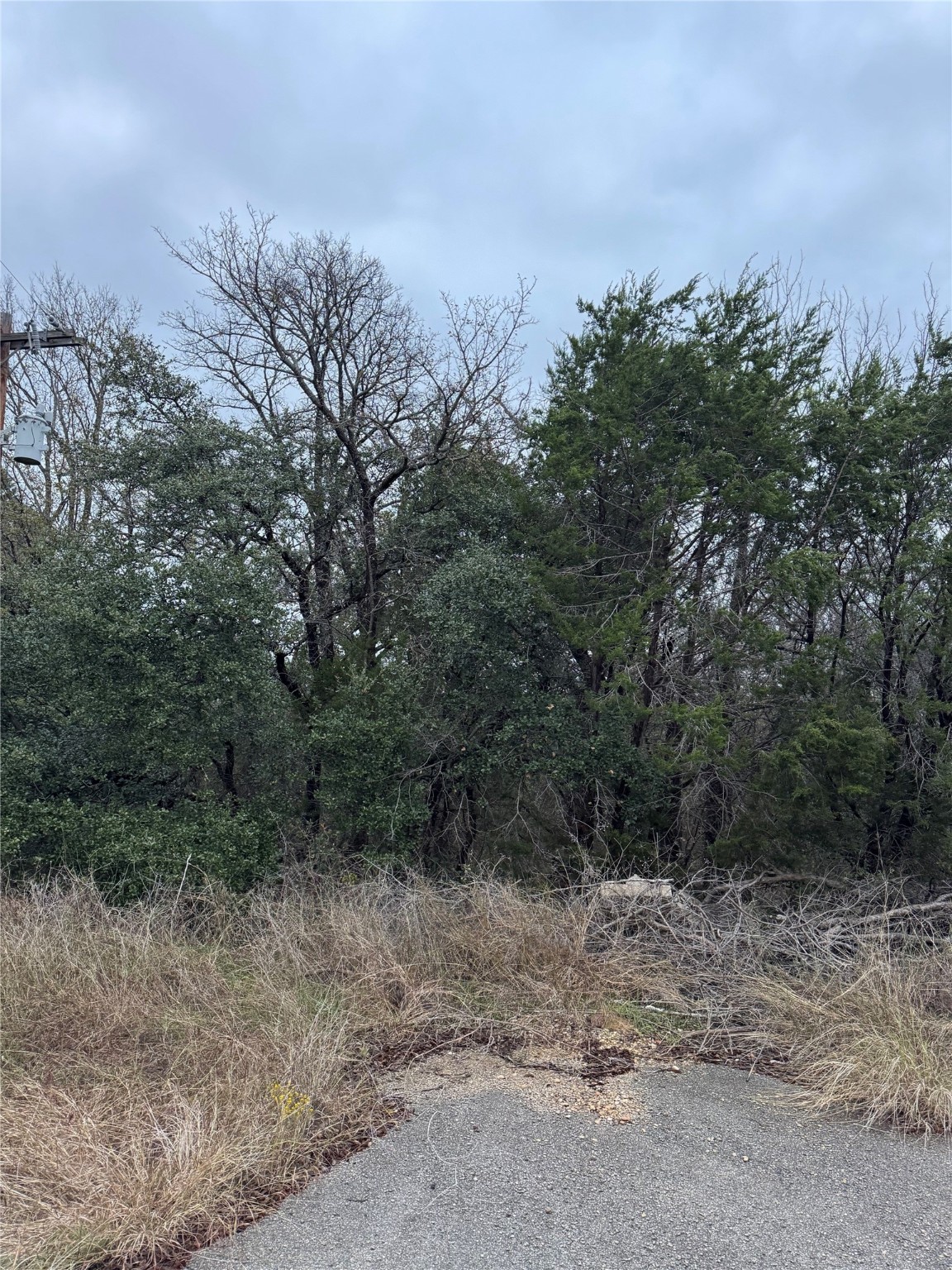 1013 Comanche Cove Drive Granbury TX 76048