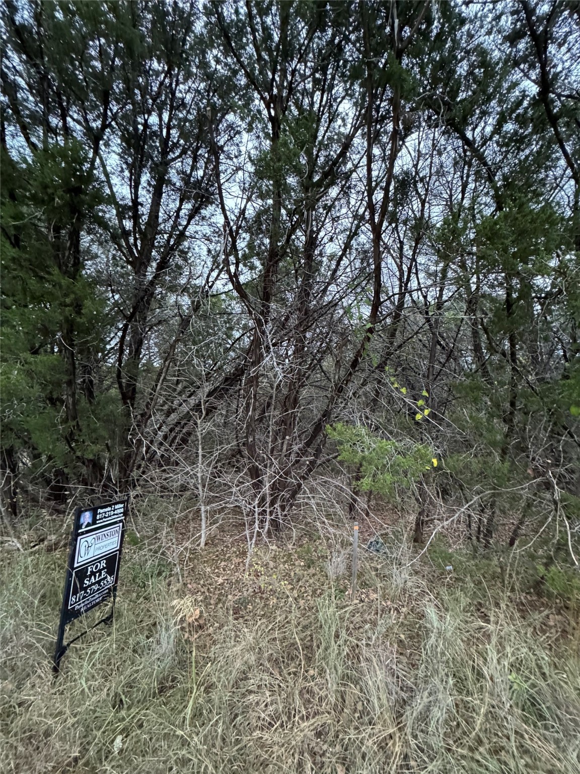 1013 Comanche Cove Drive Granbury TX 76048