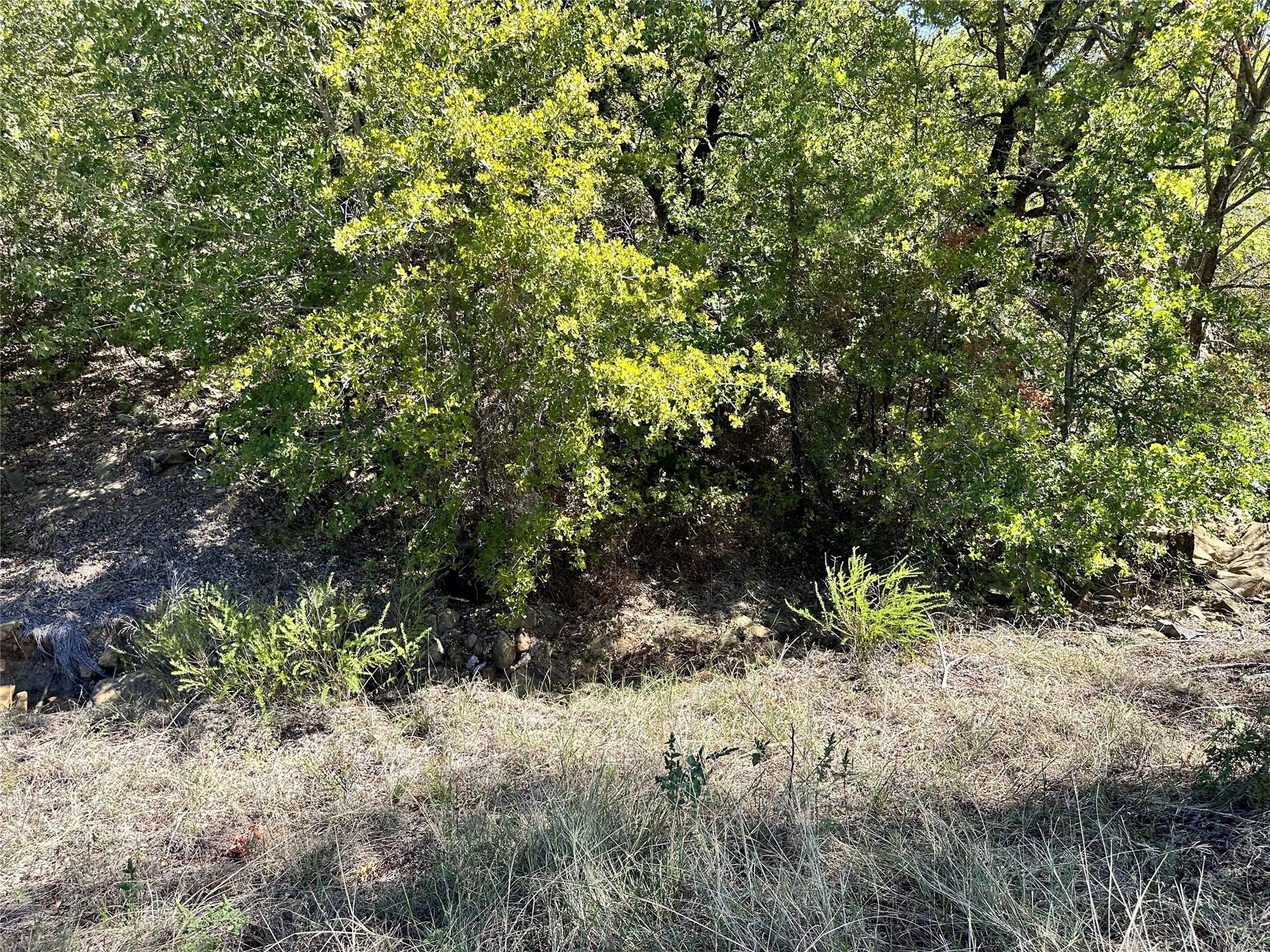 TBD1 Ranchview Court Bowie TX 76230